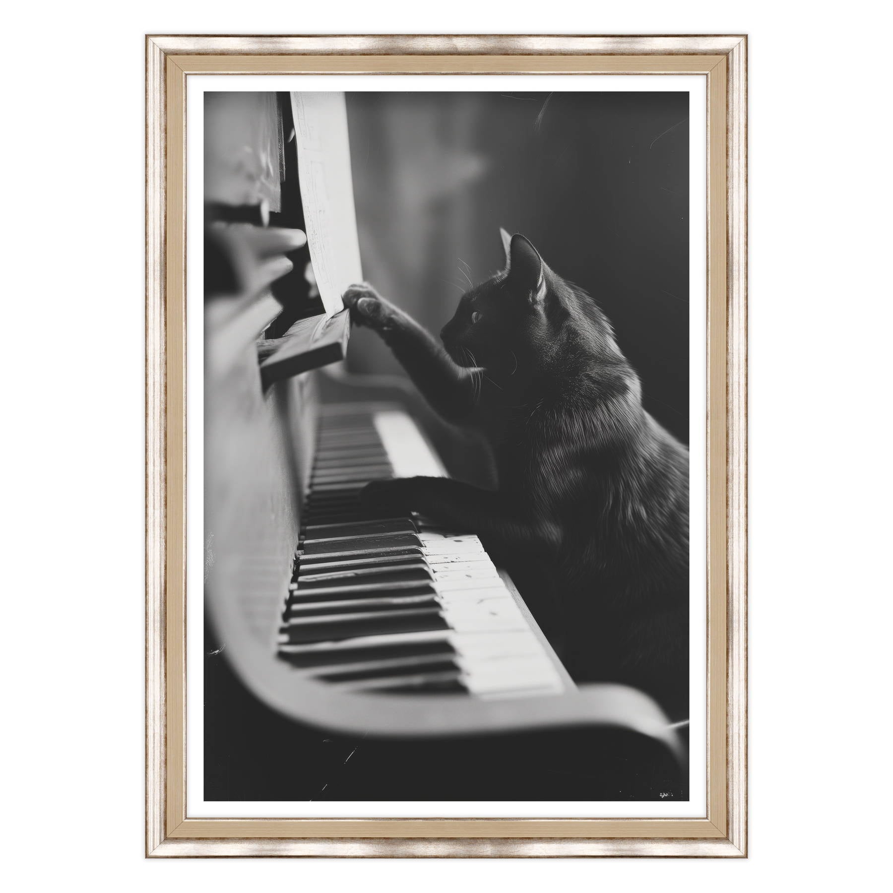 Il Musicista Quattrozampe