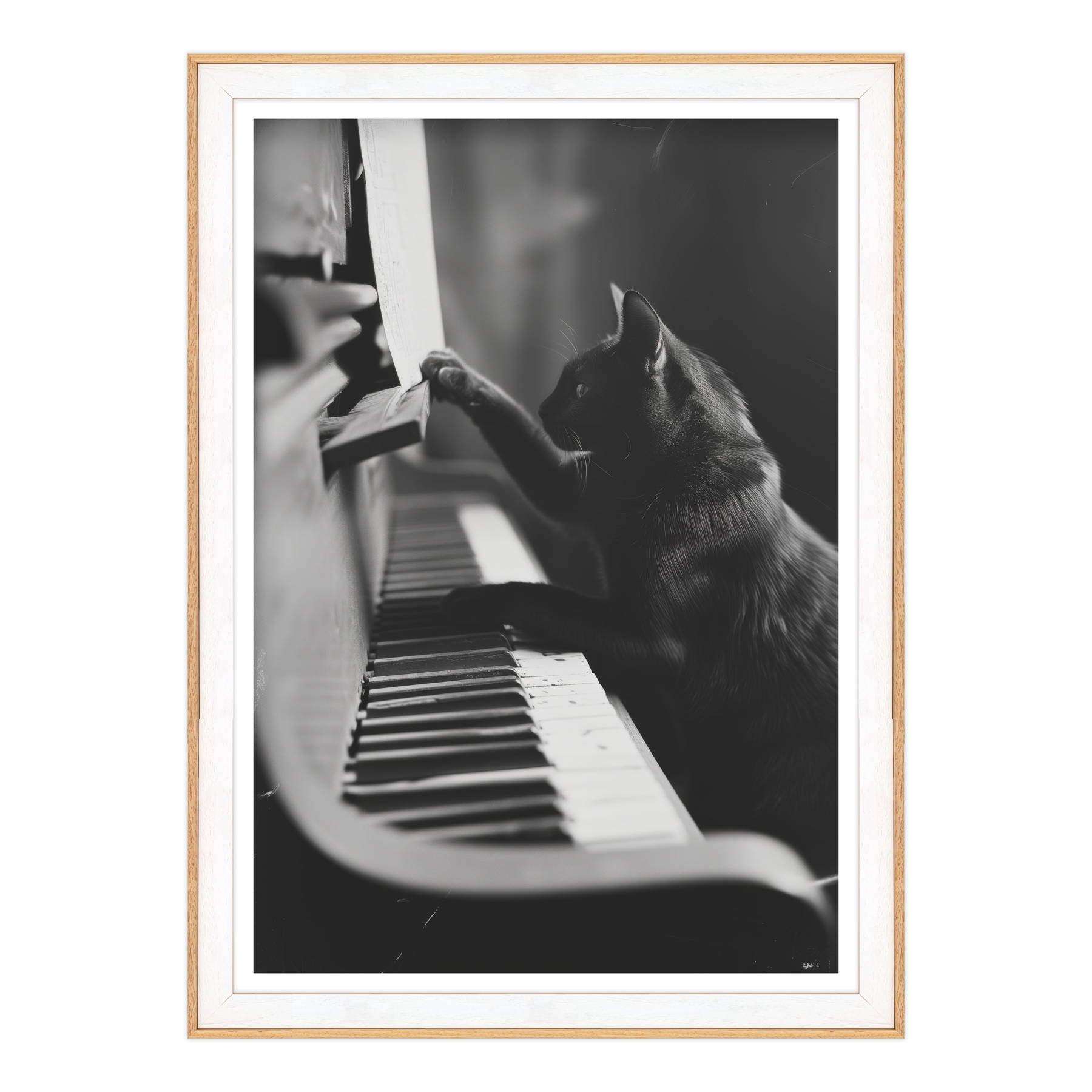 Il Musicista Quattrozampe