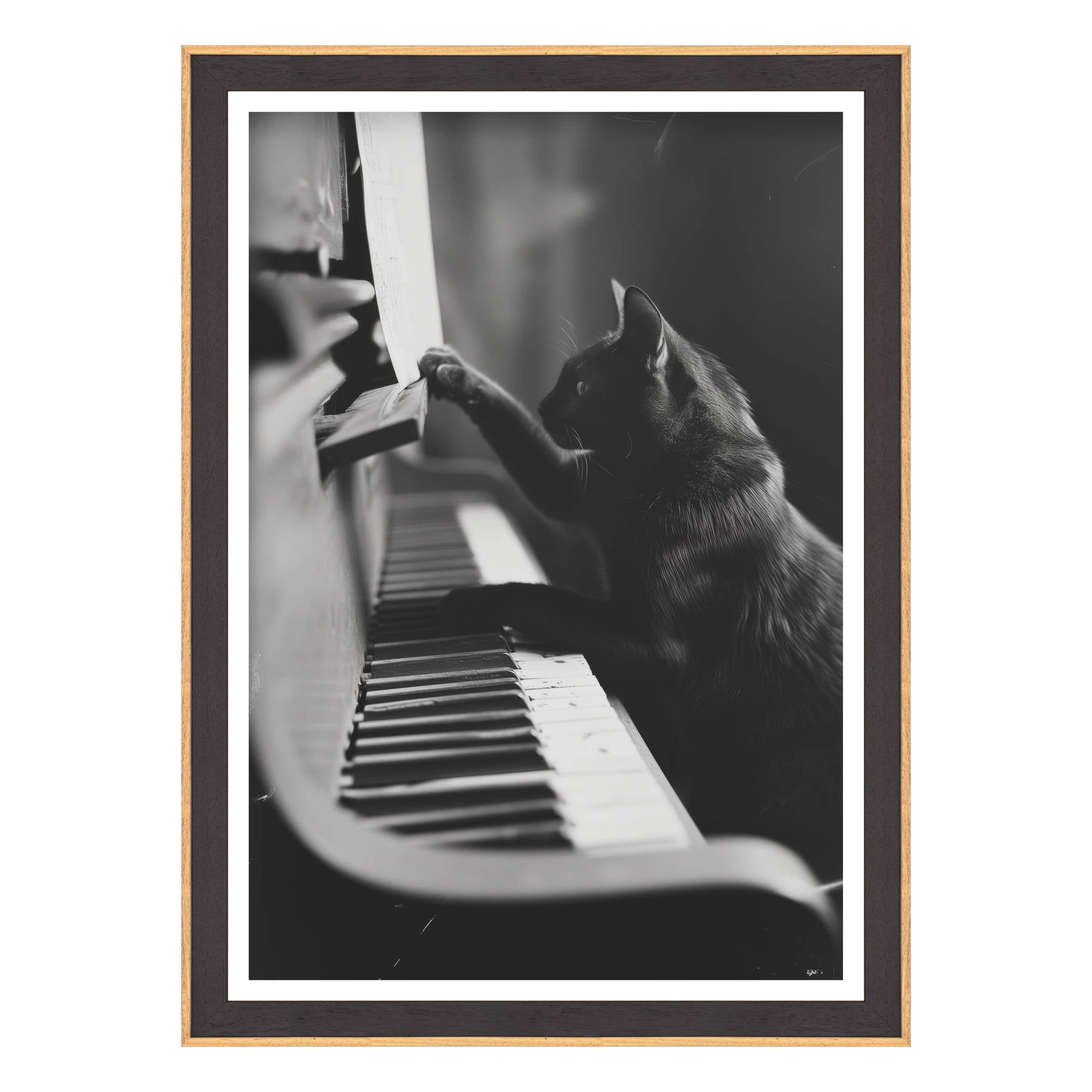 Il Musicista Quattrozampe