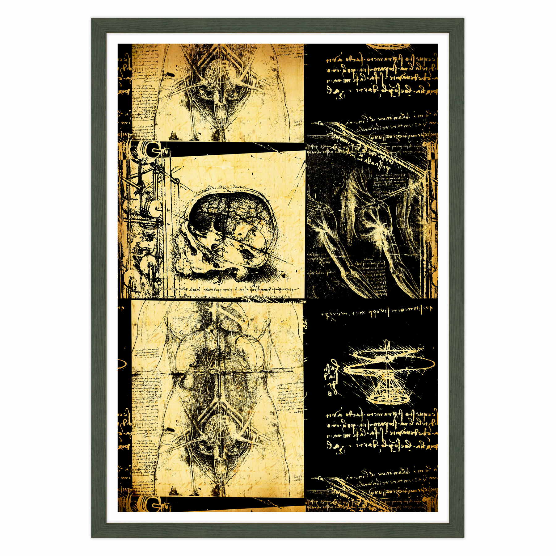 Leonardo Da Vinci - Studio di Anatomia - Medicina Chirurgia