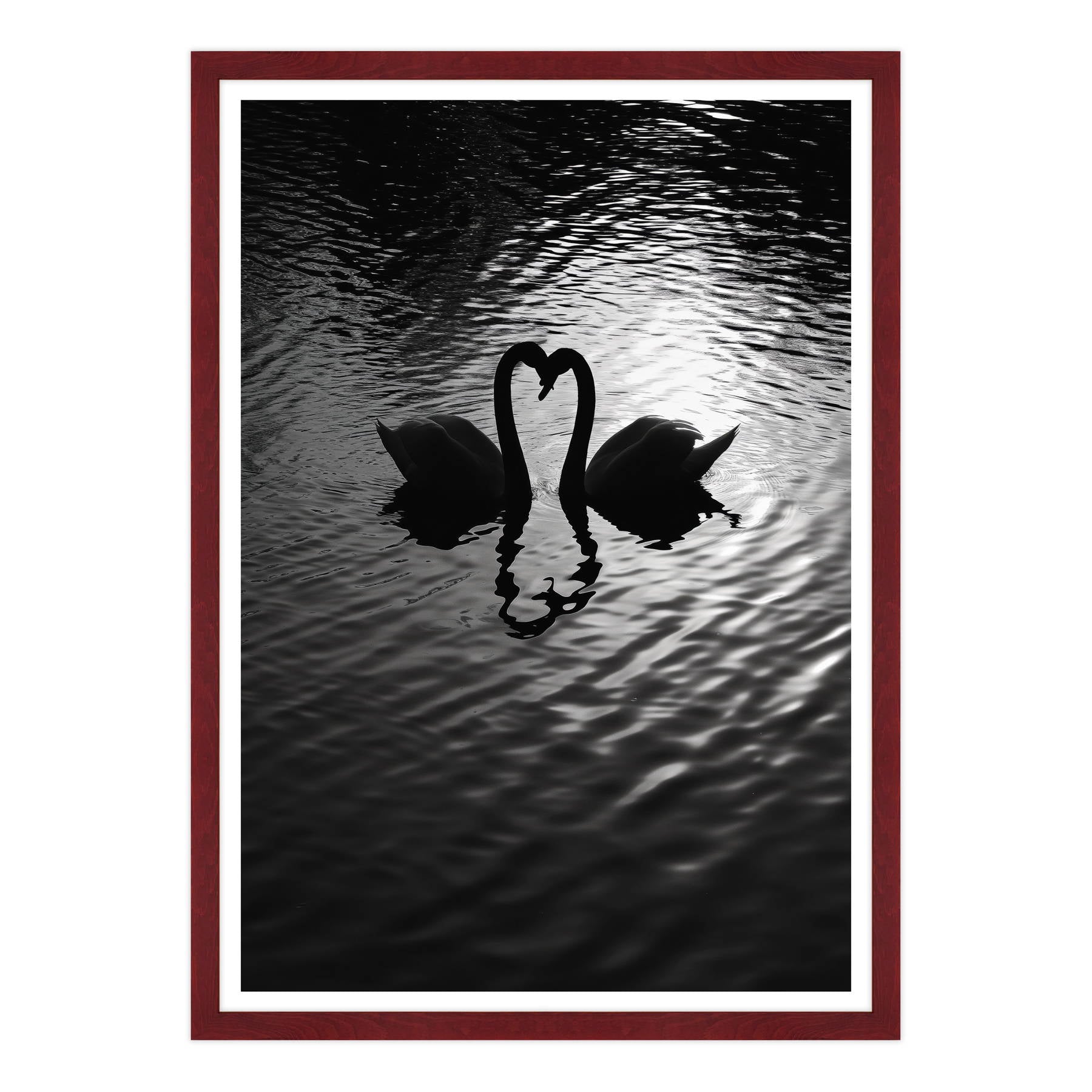 Amore Riflesso, Ballata dei Cigni