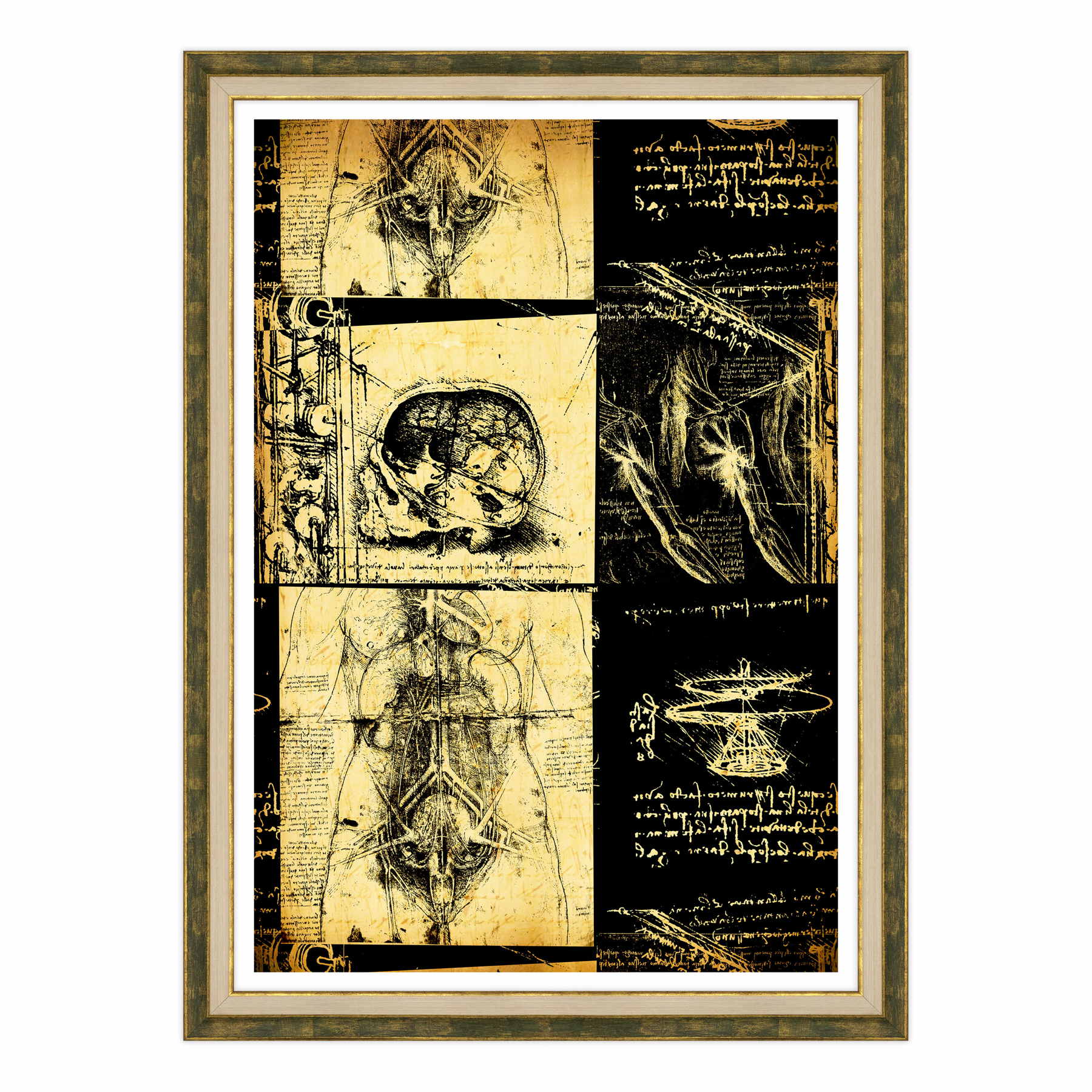 Leonardo Da Vinci - Studio di Anatomia - Medicina Chirurgia