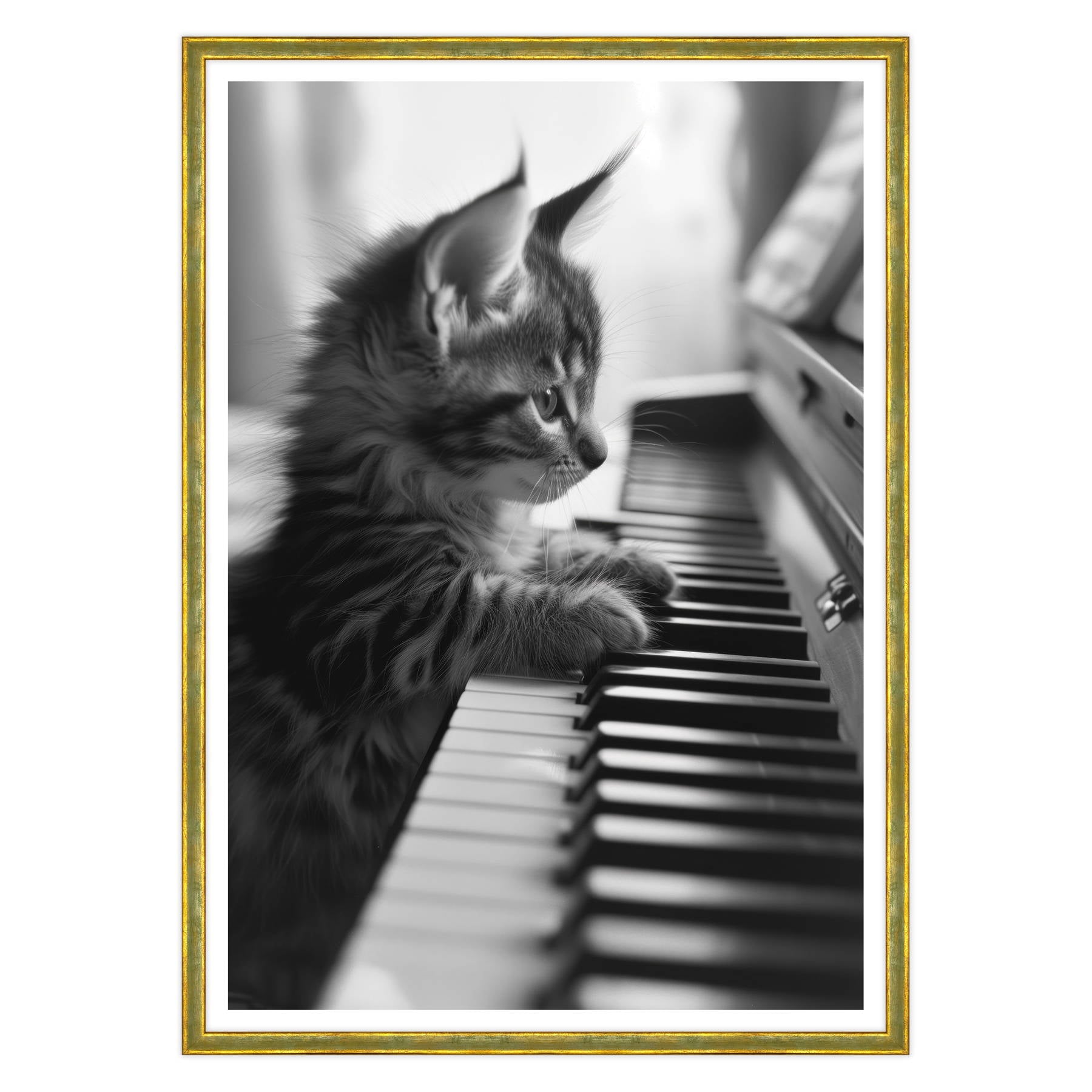 Eleganza Classica: Il Virtuoso Micio