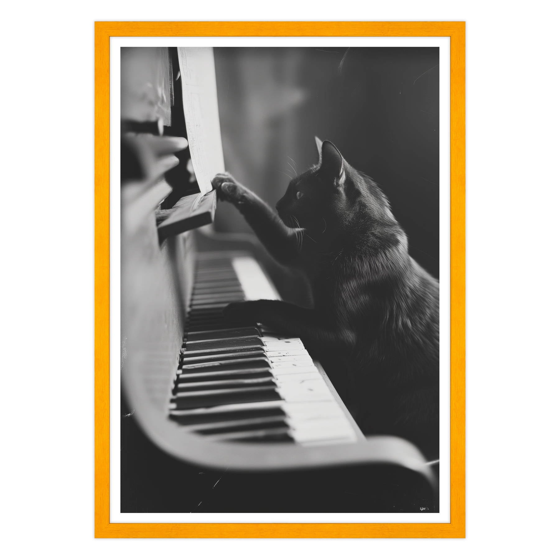 Il Musicista Quattrozampe