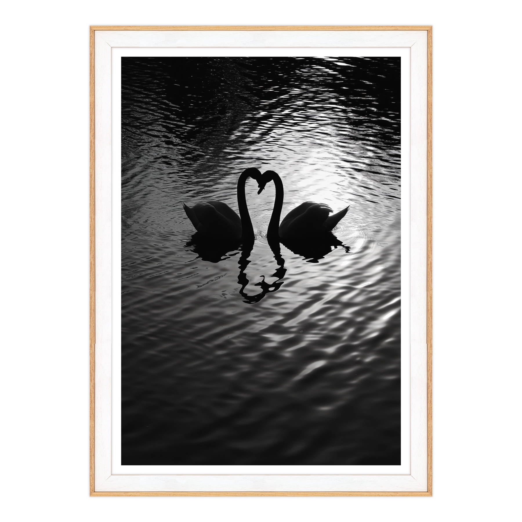Amore Riflesso, Ballata dei Cigni