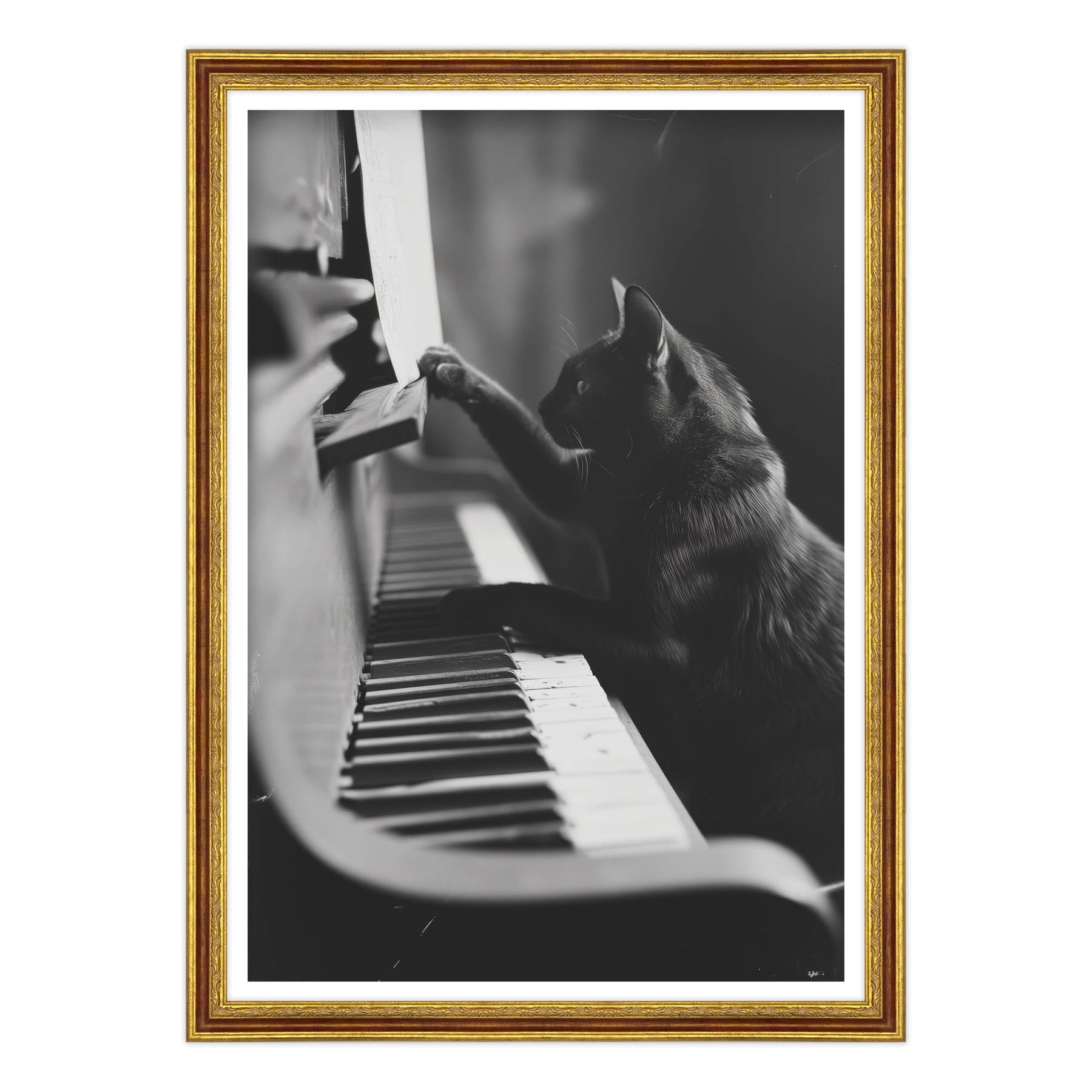 Il Musicista Quattrozampe