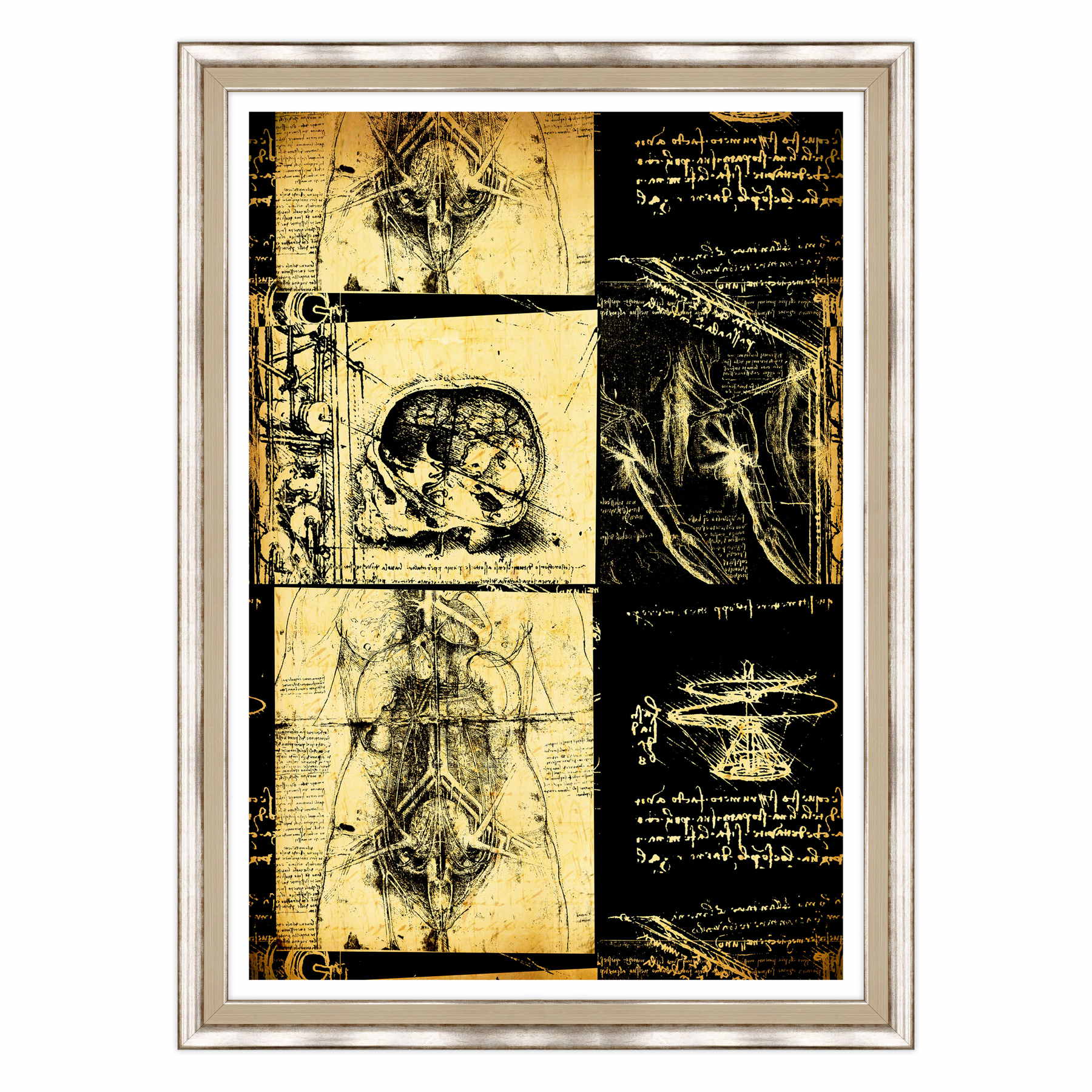 Leonardo Da Vinci - Studio di Anatomia - Medicina Chirurgia