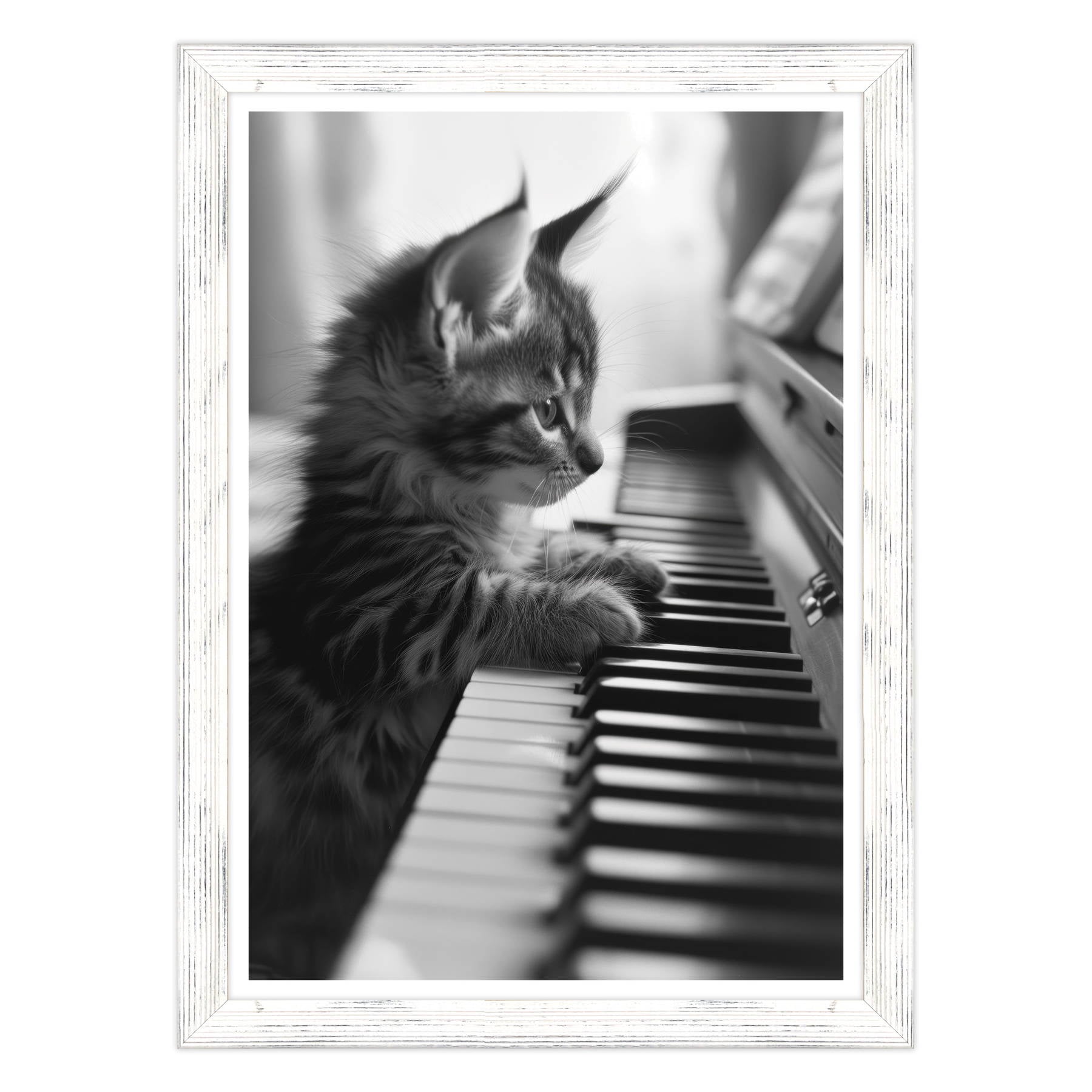 Eleganza Classica: Il Virtuoso Micio