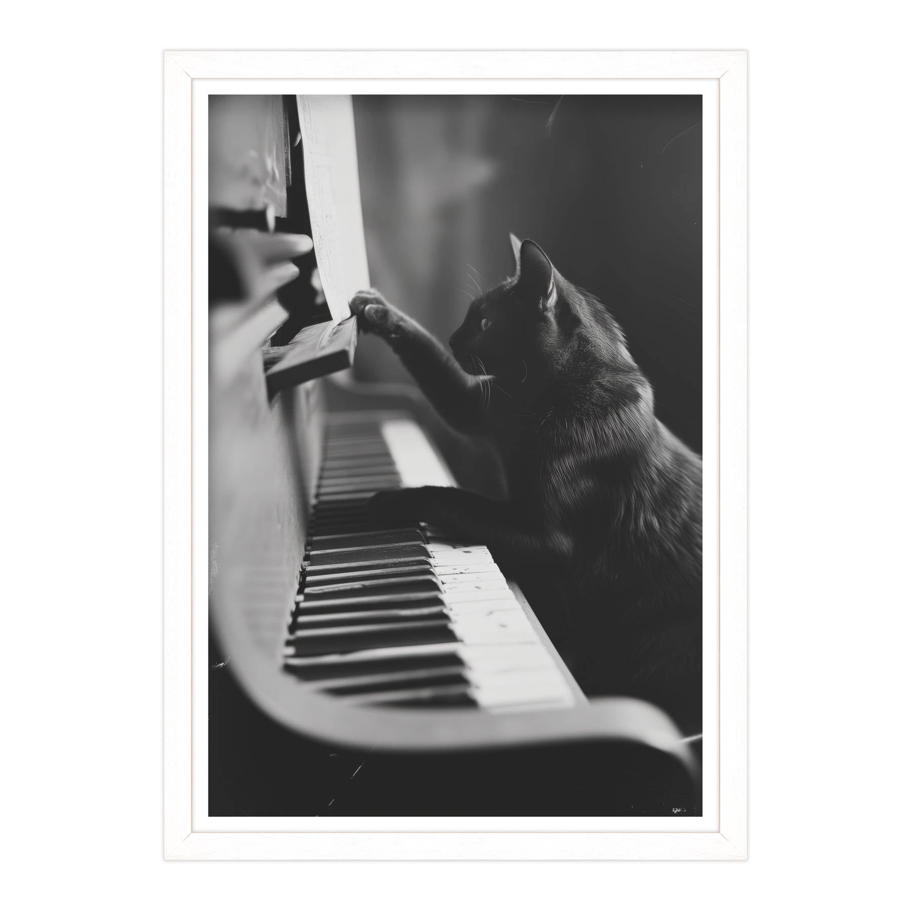 Il Musicista Quattrozampe