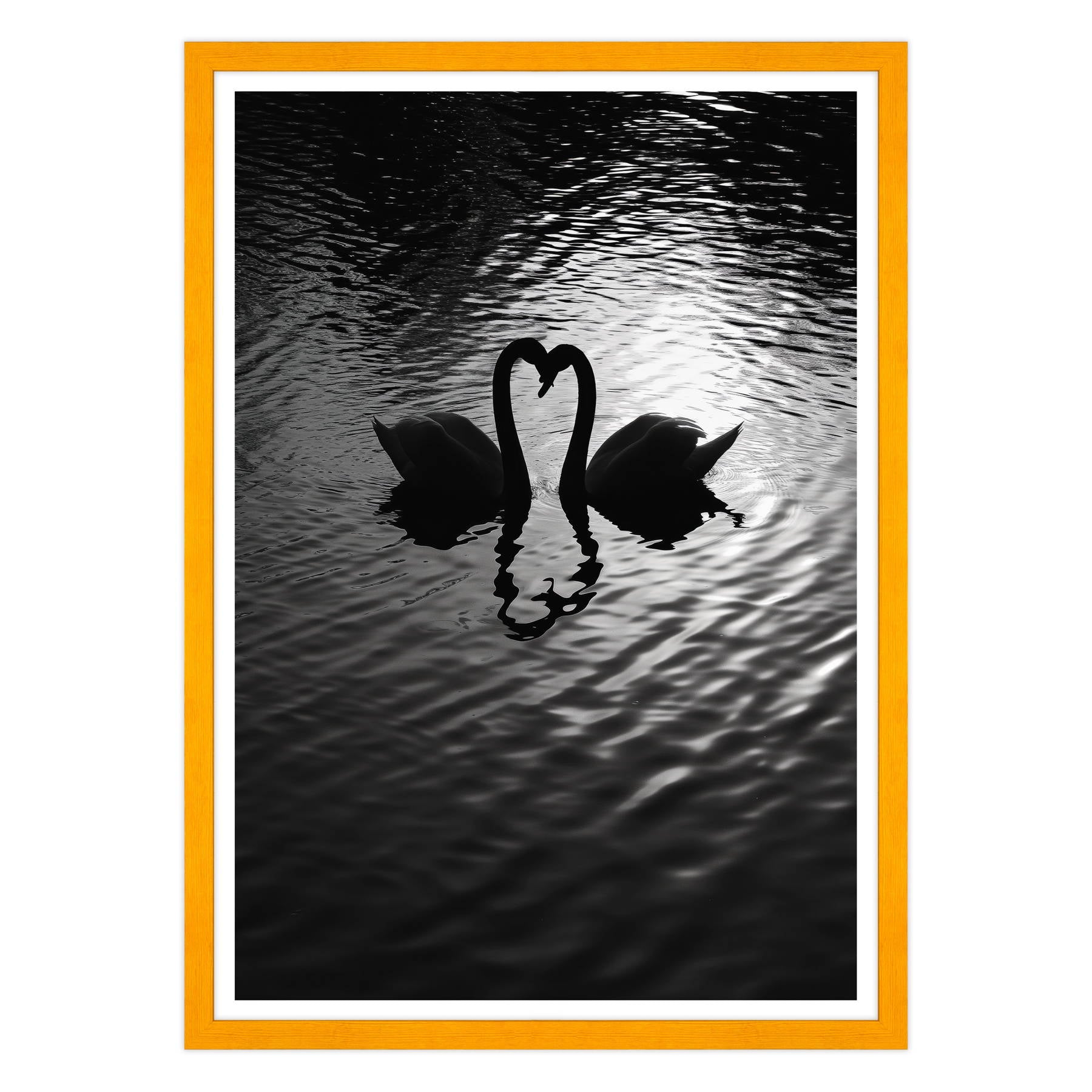 Amore Riflesso, Ballata dei Cigni