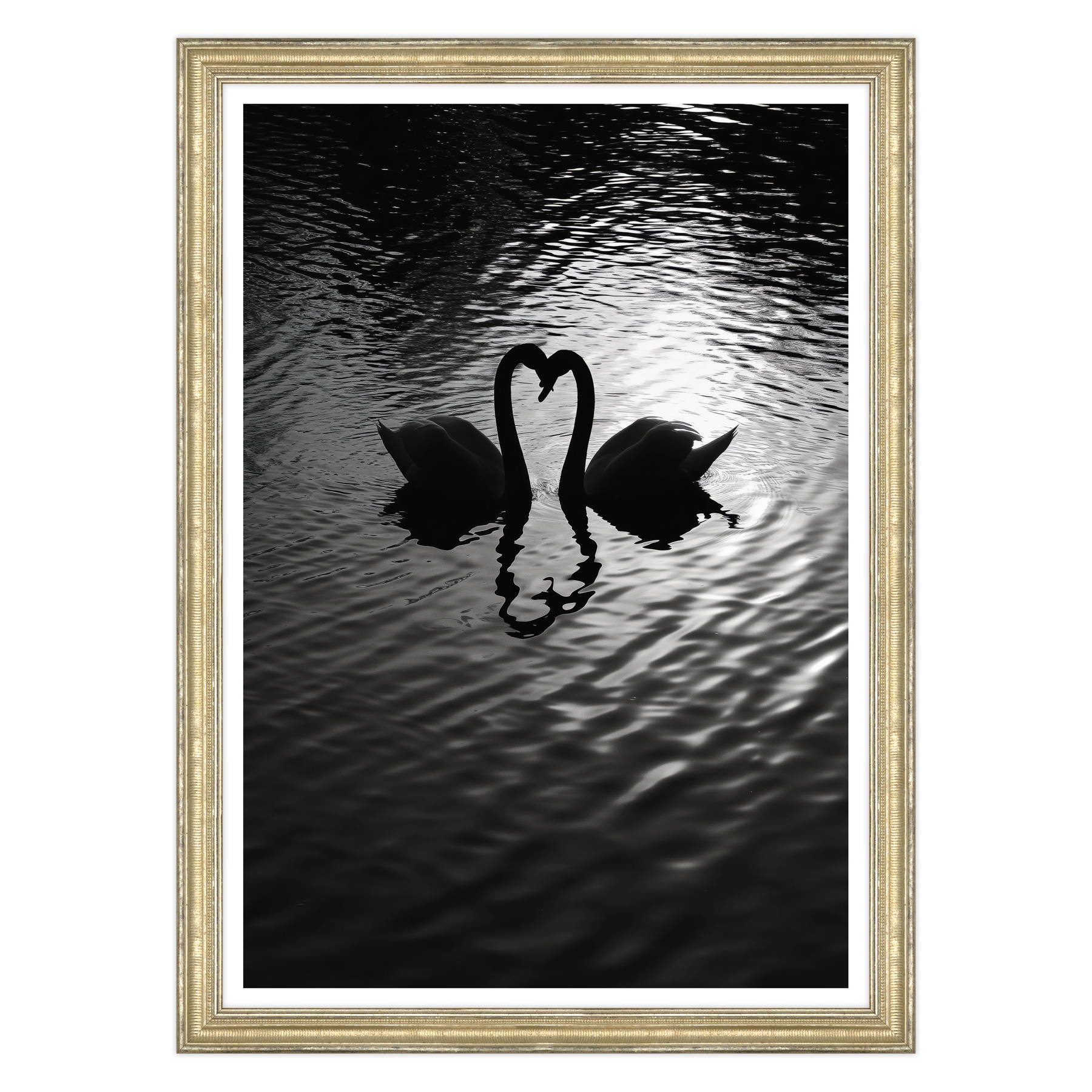 Amore Riflesso, Ballata dei Cigni