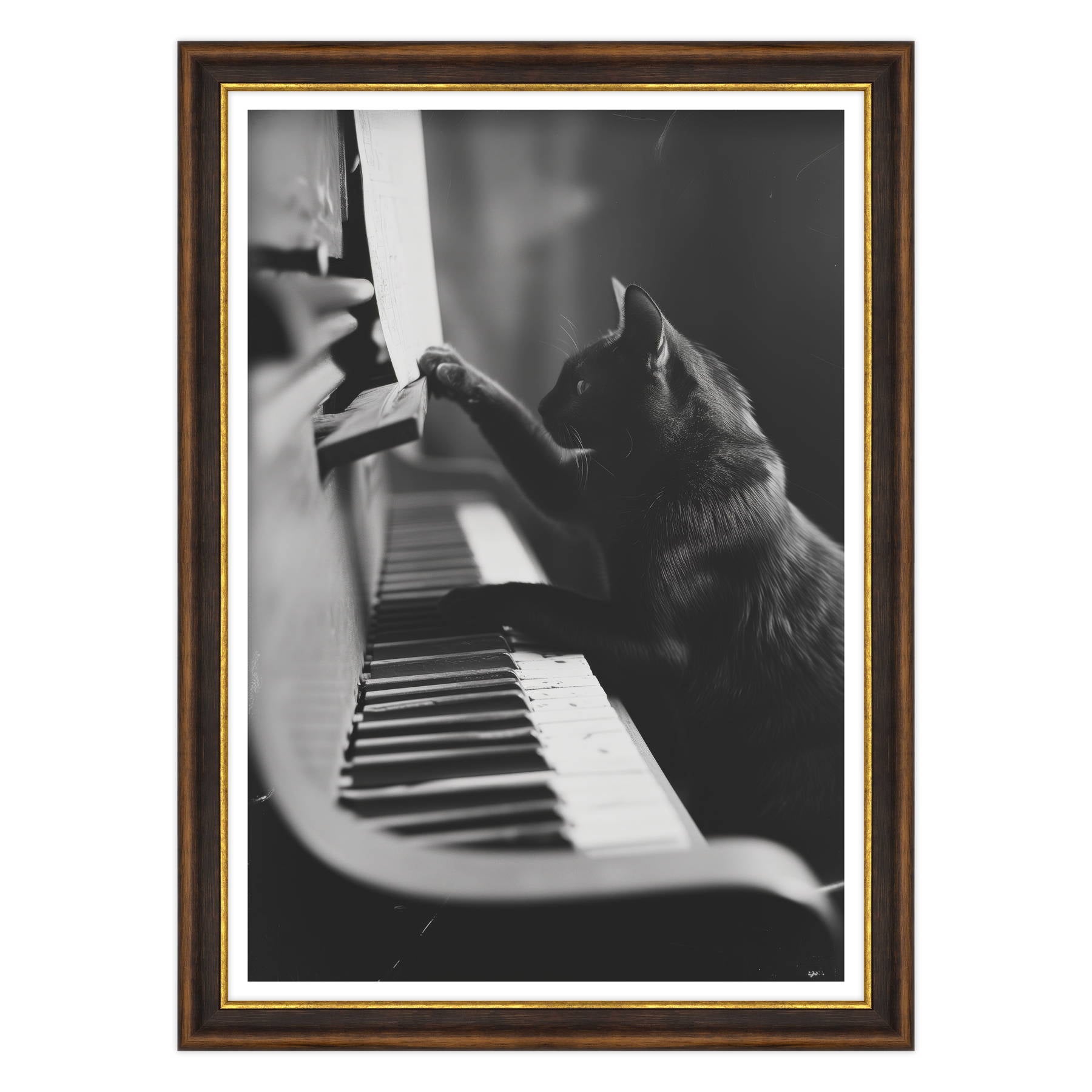 Il Musicista Quattrozampe