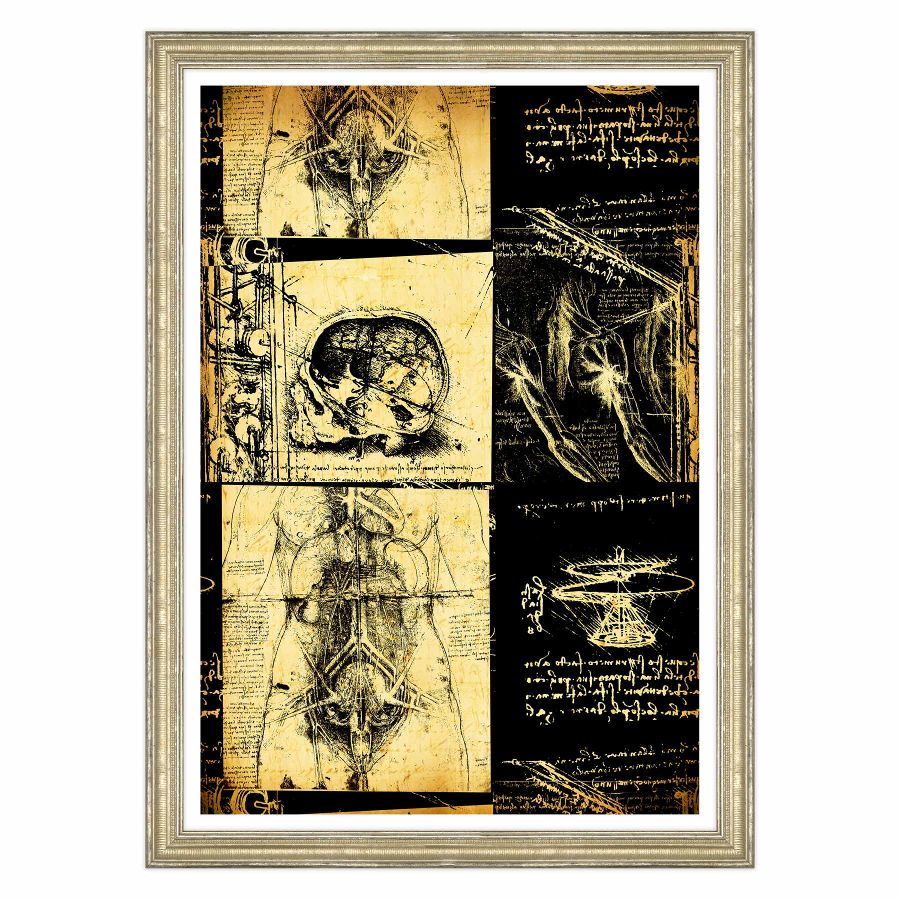 Leonardo Da Vinci - Studio di Anatomia - Medicina Chirurgia