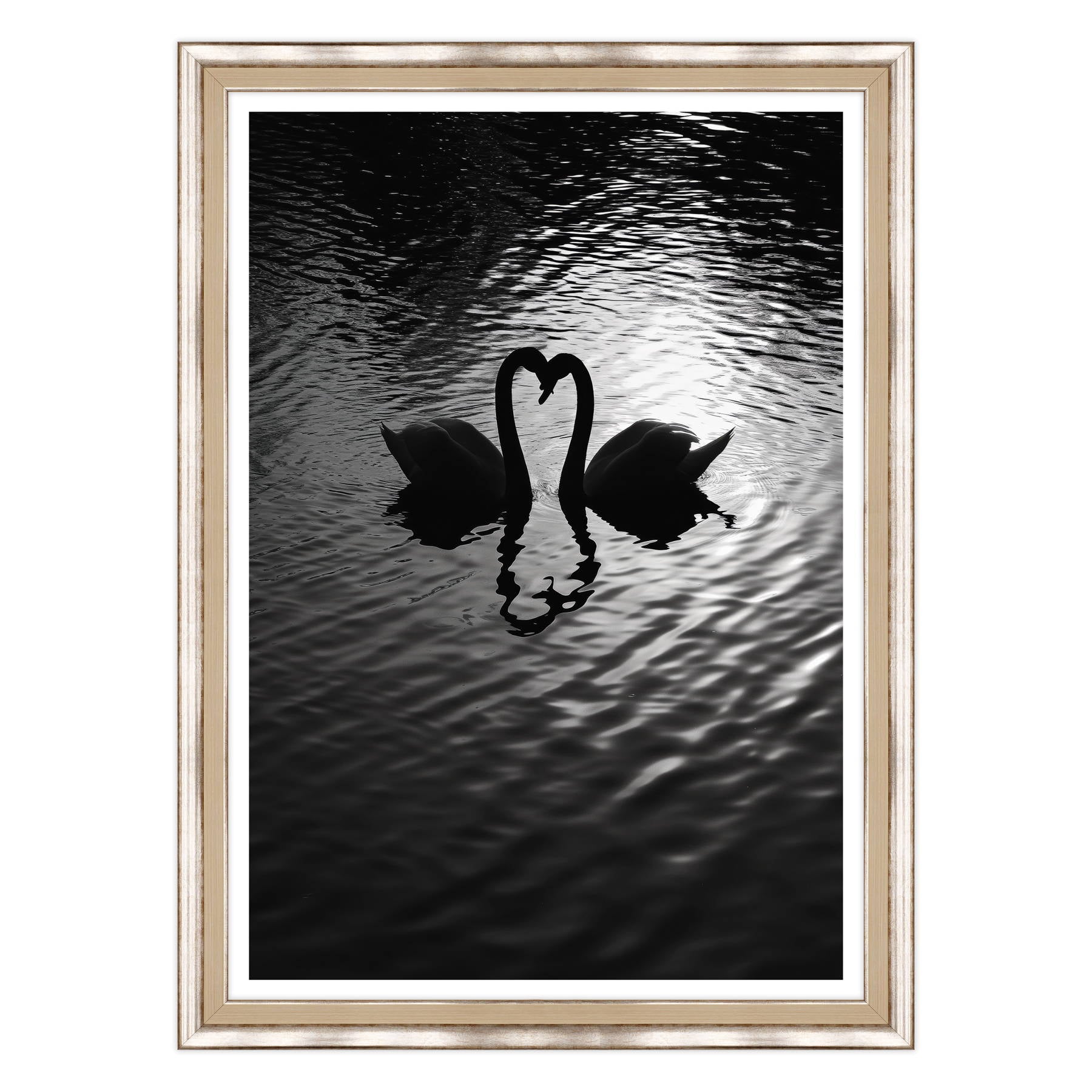 Amore Riflesso, Ballata dei Cigni