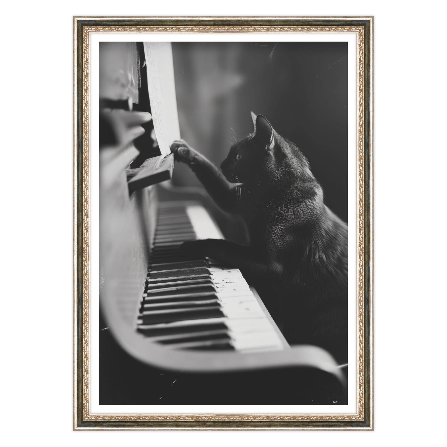 Il Musicista Quattrozampe
