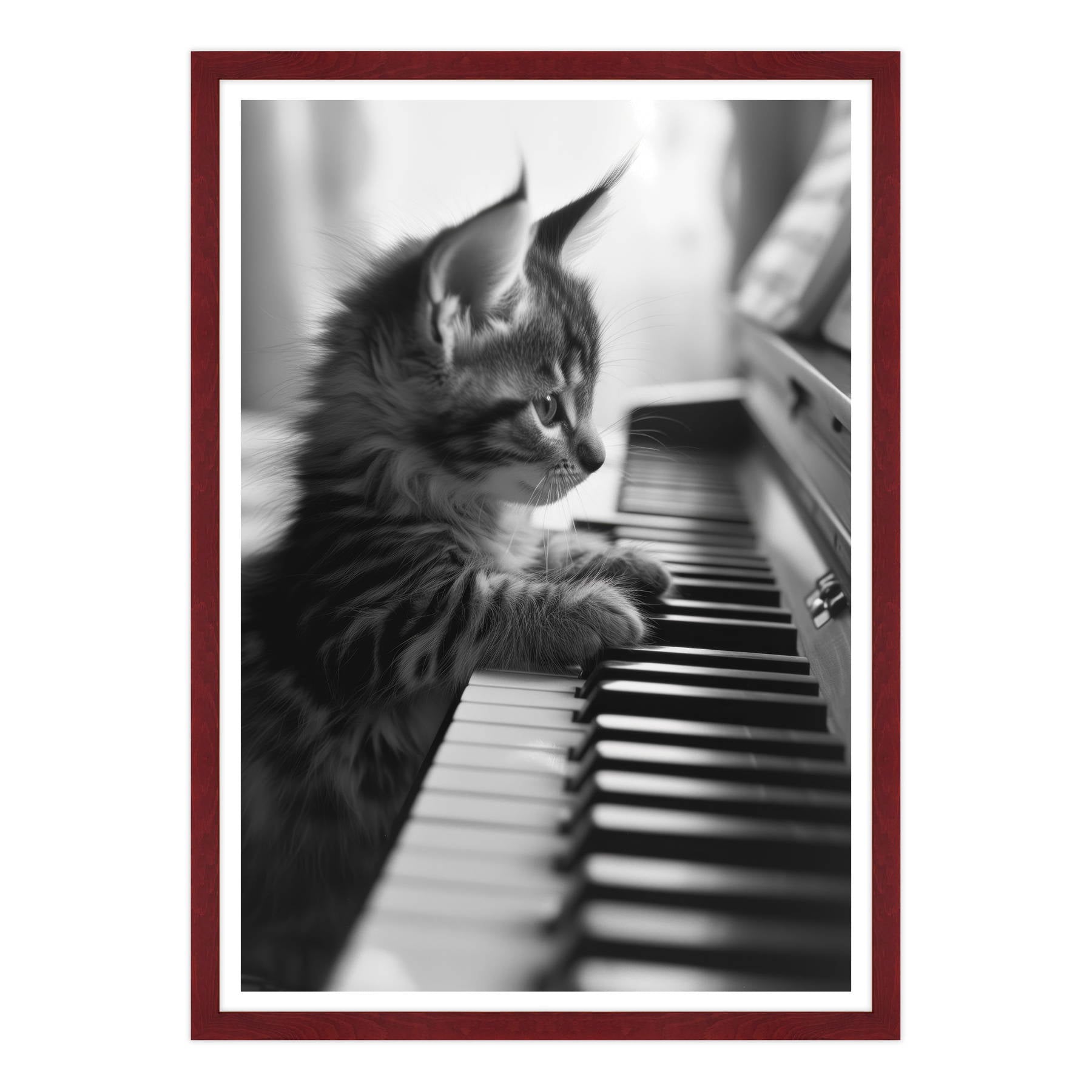 Eleganza Classica: Il Virtuoso Micio