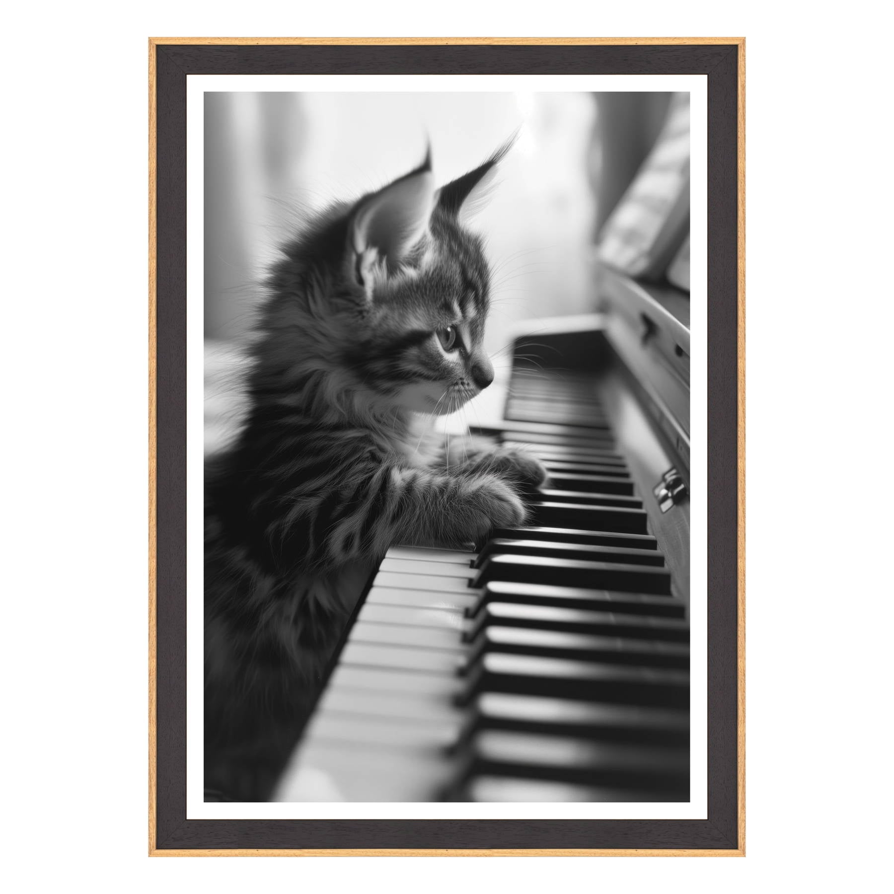 Eleganza Classica: Il Virtuoso Micio