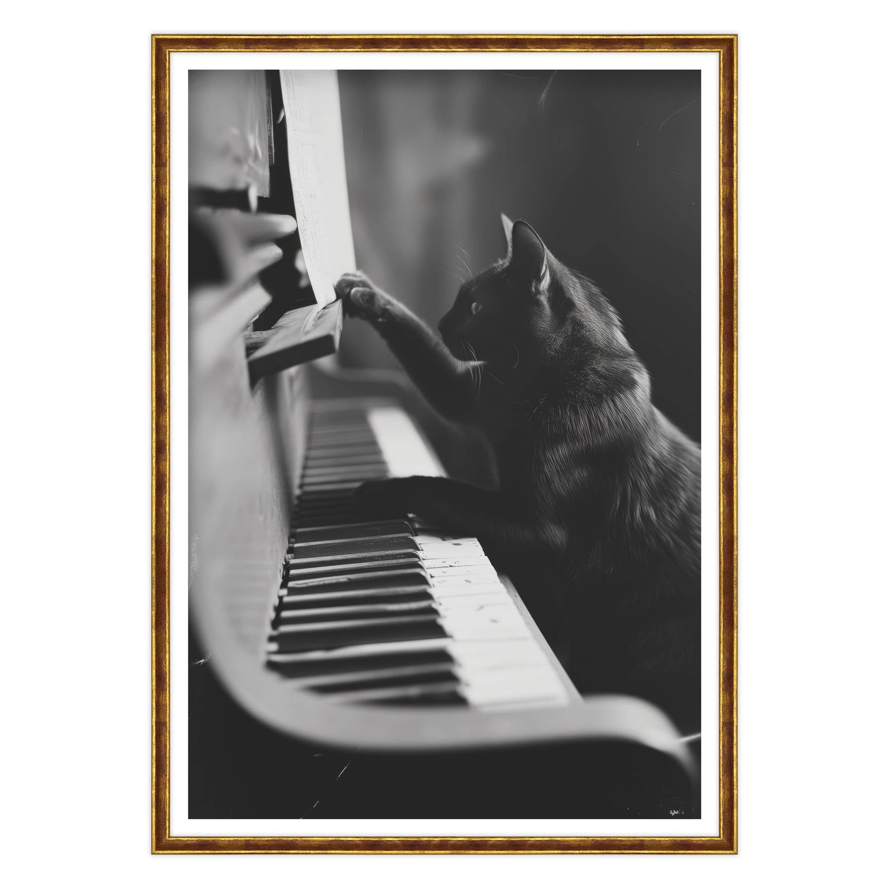 Il Musicista Quattrozampe