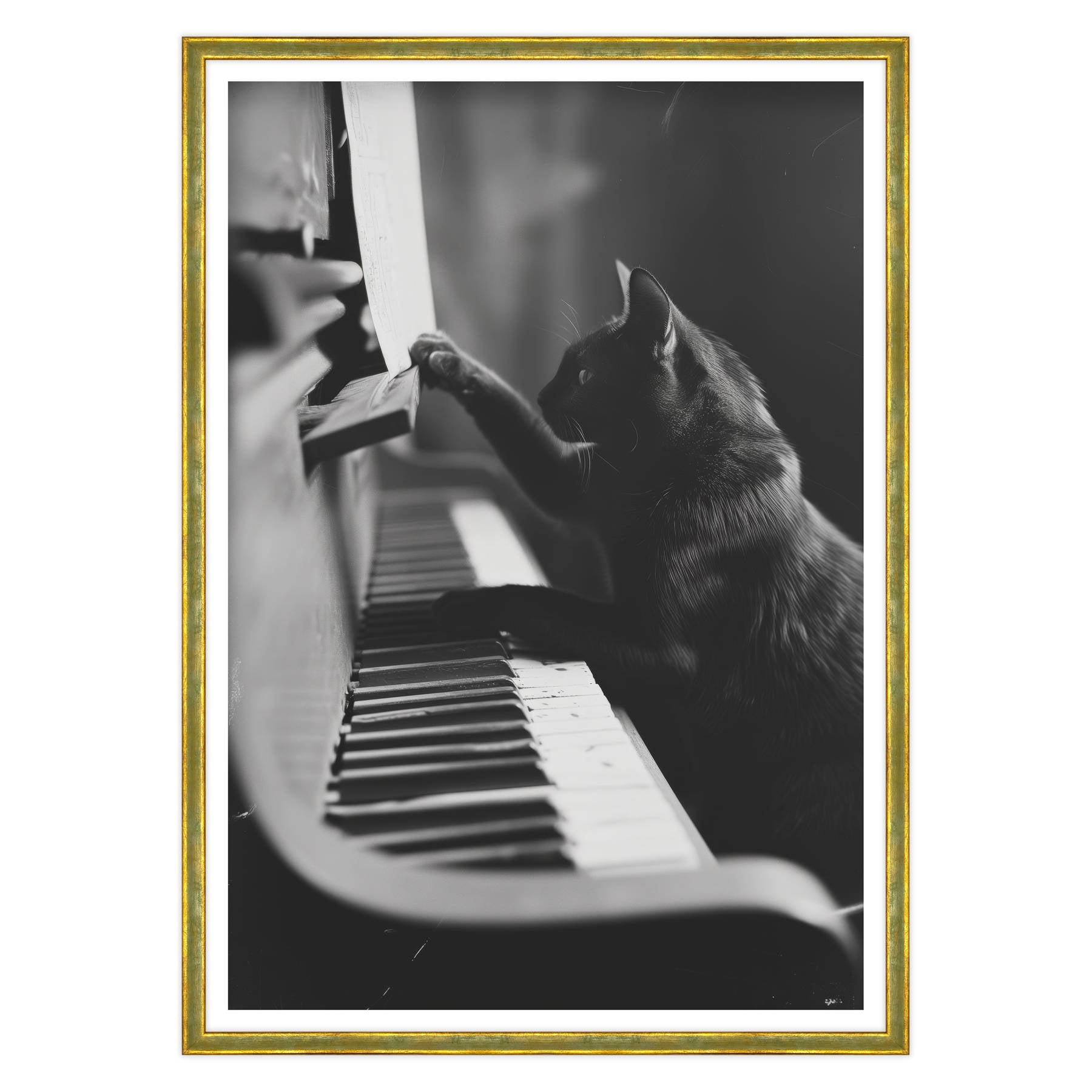 Il Musicista Quattrozampe