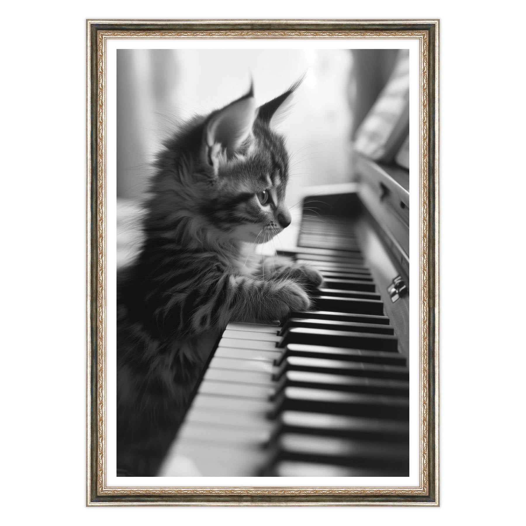 Eleganza Classica: Il Virtuoso Micio