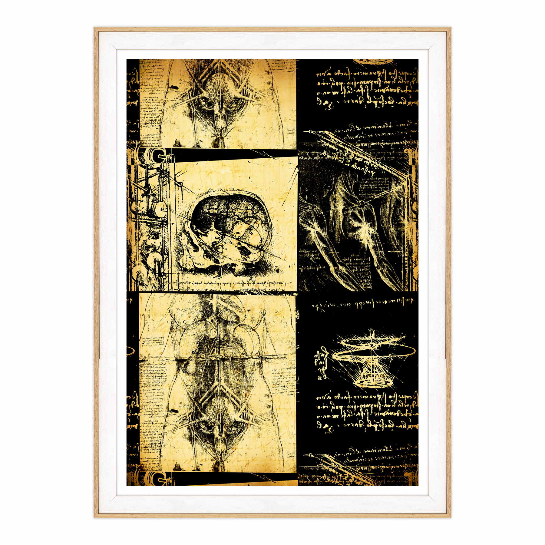 Leonardo Da Vinci - Studio di Anatomia - Medicina Chirurgia