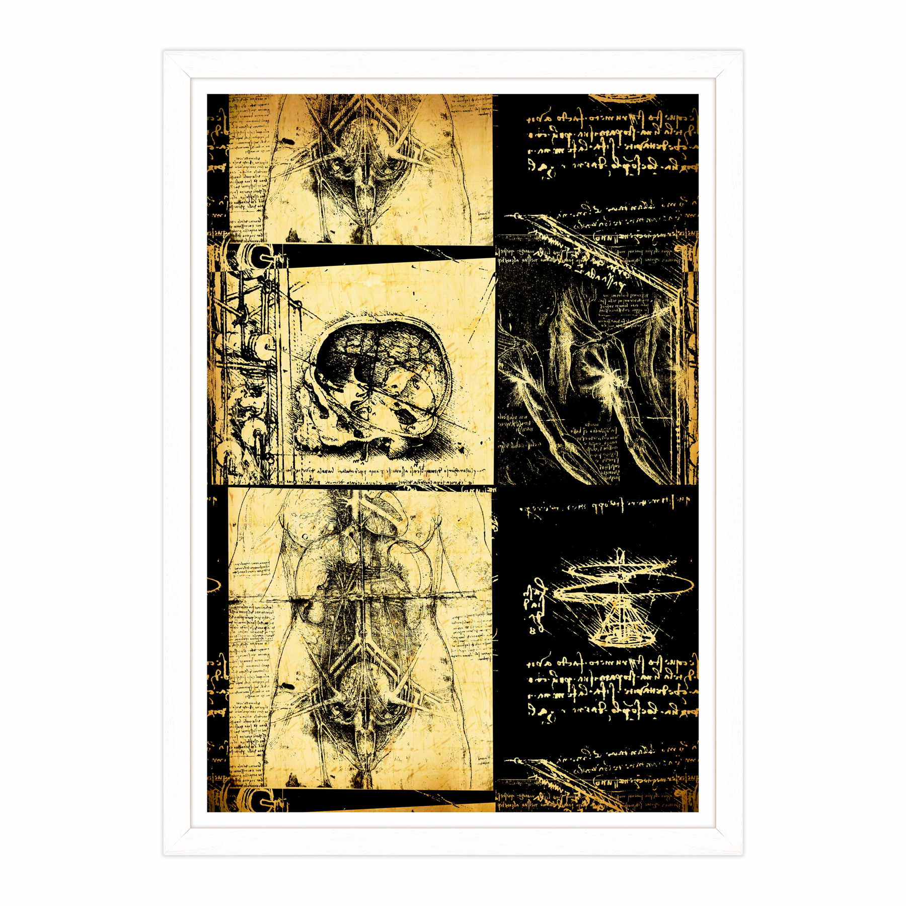 Leonardo Da Vinci - Studio di Anatomia - Medicina Chirurgia