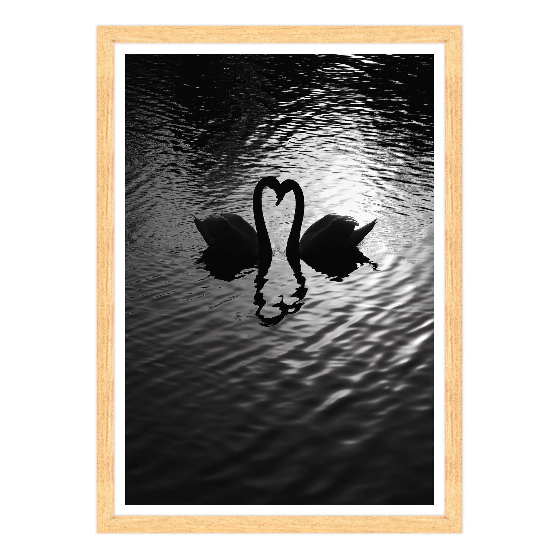 Amore Riflesso, Ballata dei Cigni