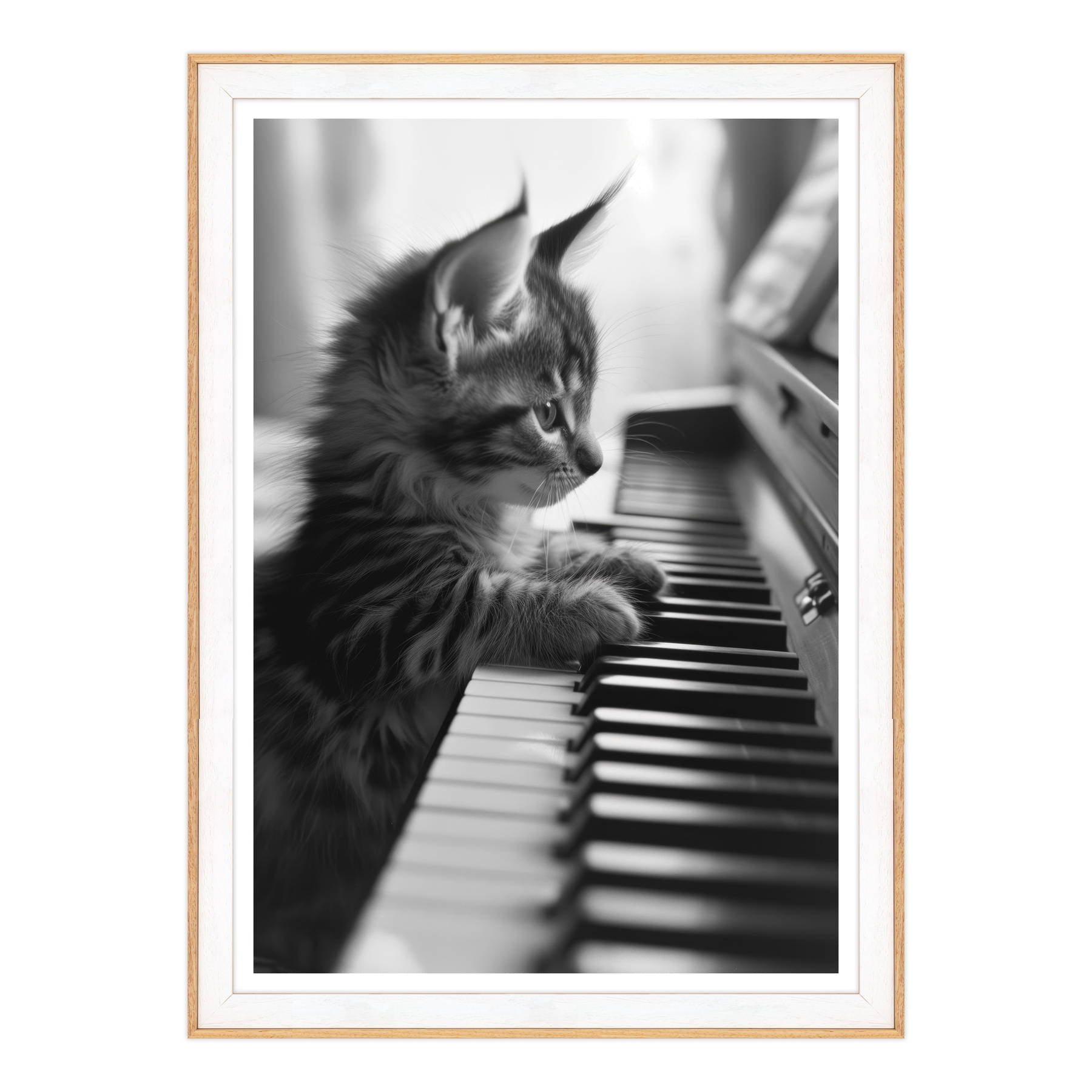 Eleganza Classica: Il Virtuoso Micio