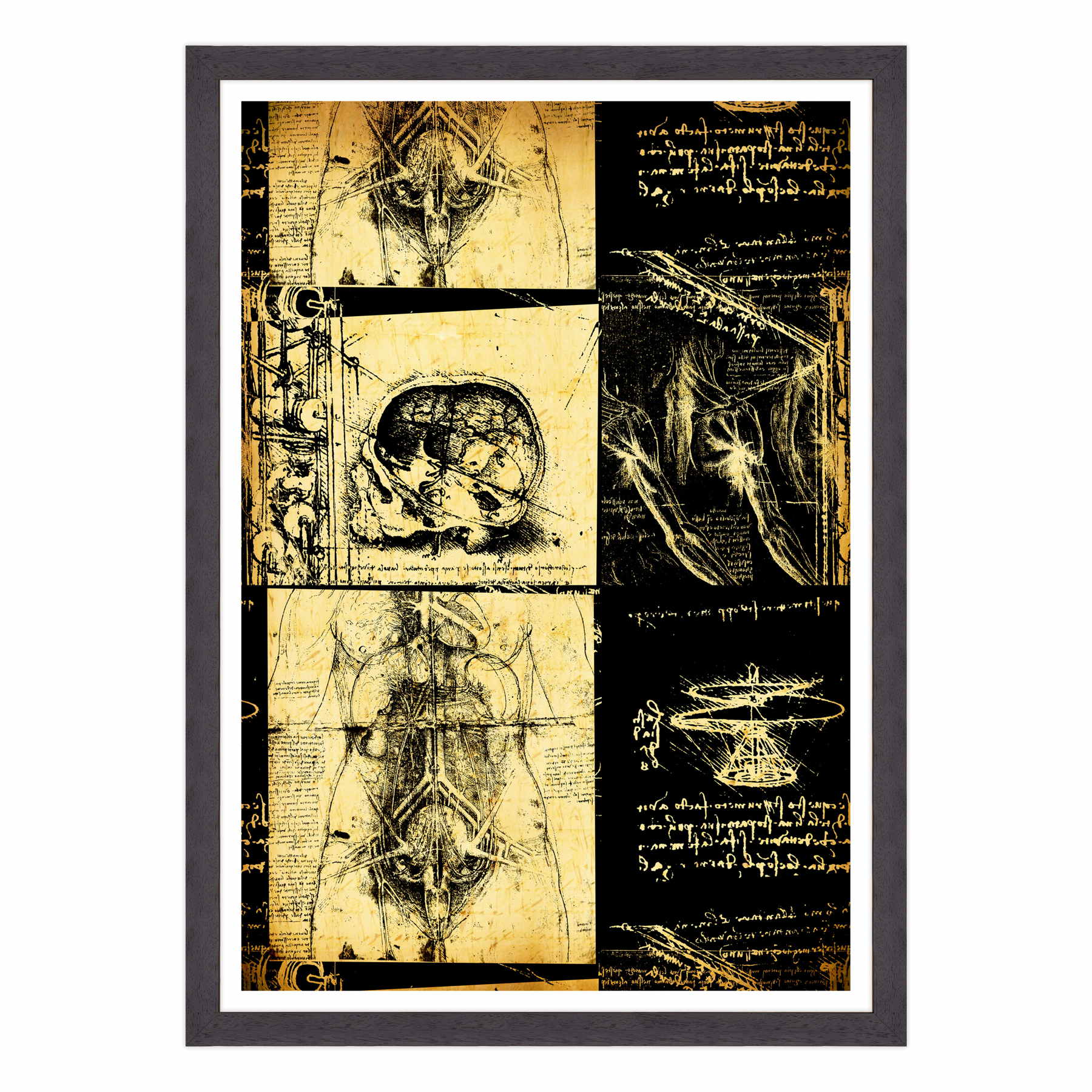 Leonardo Da Vinci - Studio di Anatomia - Medicina Chirurgia