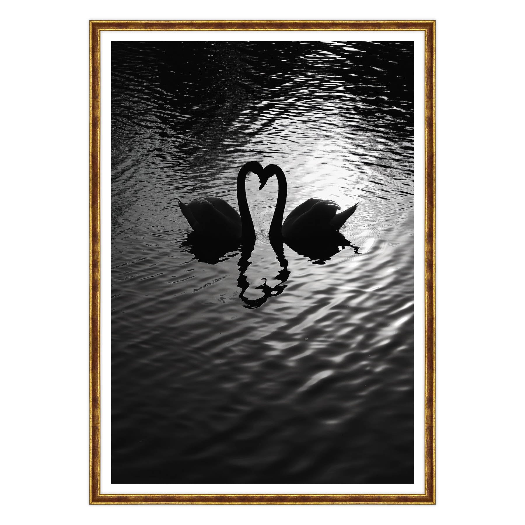 Amore Riflesso, Ballata dei Cigni