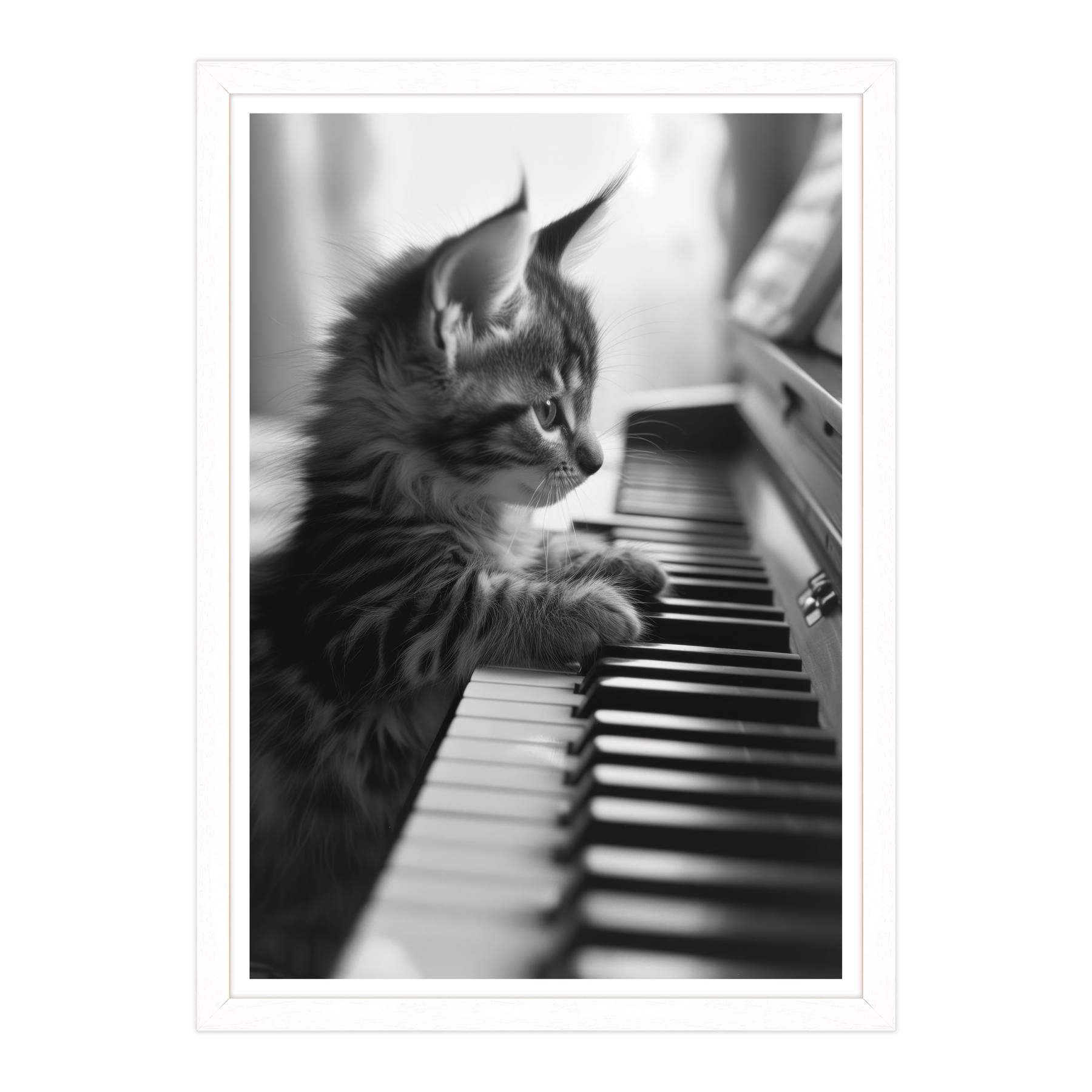 Eleganza Classica: Il Virtuoso Micio