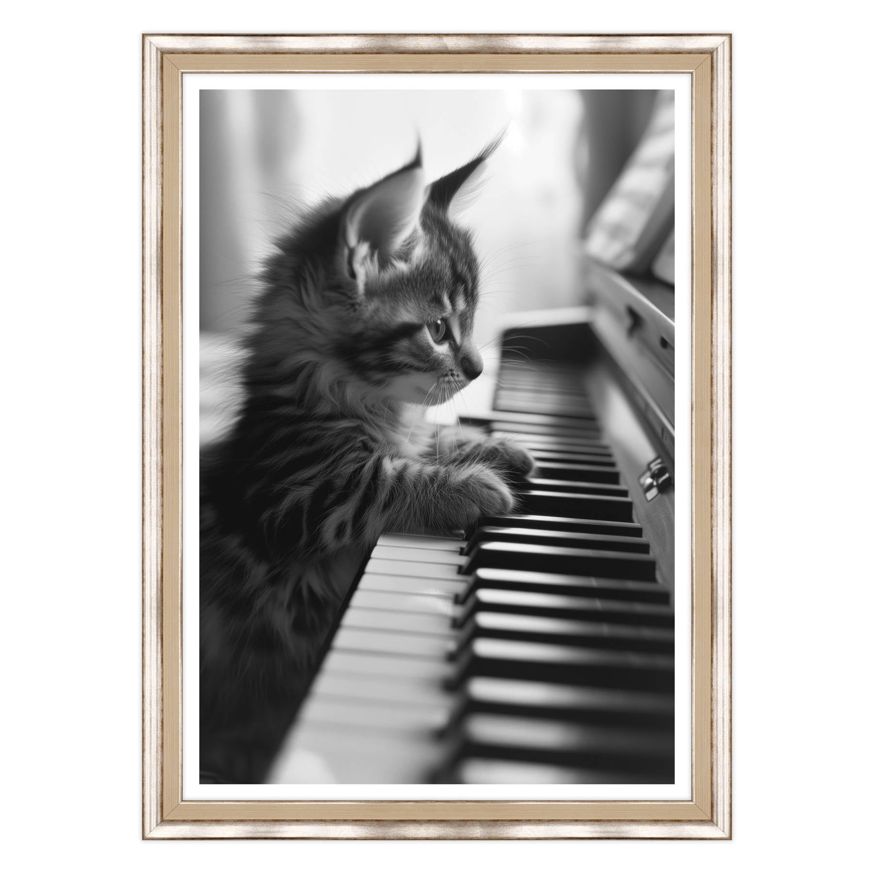 Eleganza Classica: Il Virtuoso Micio