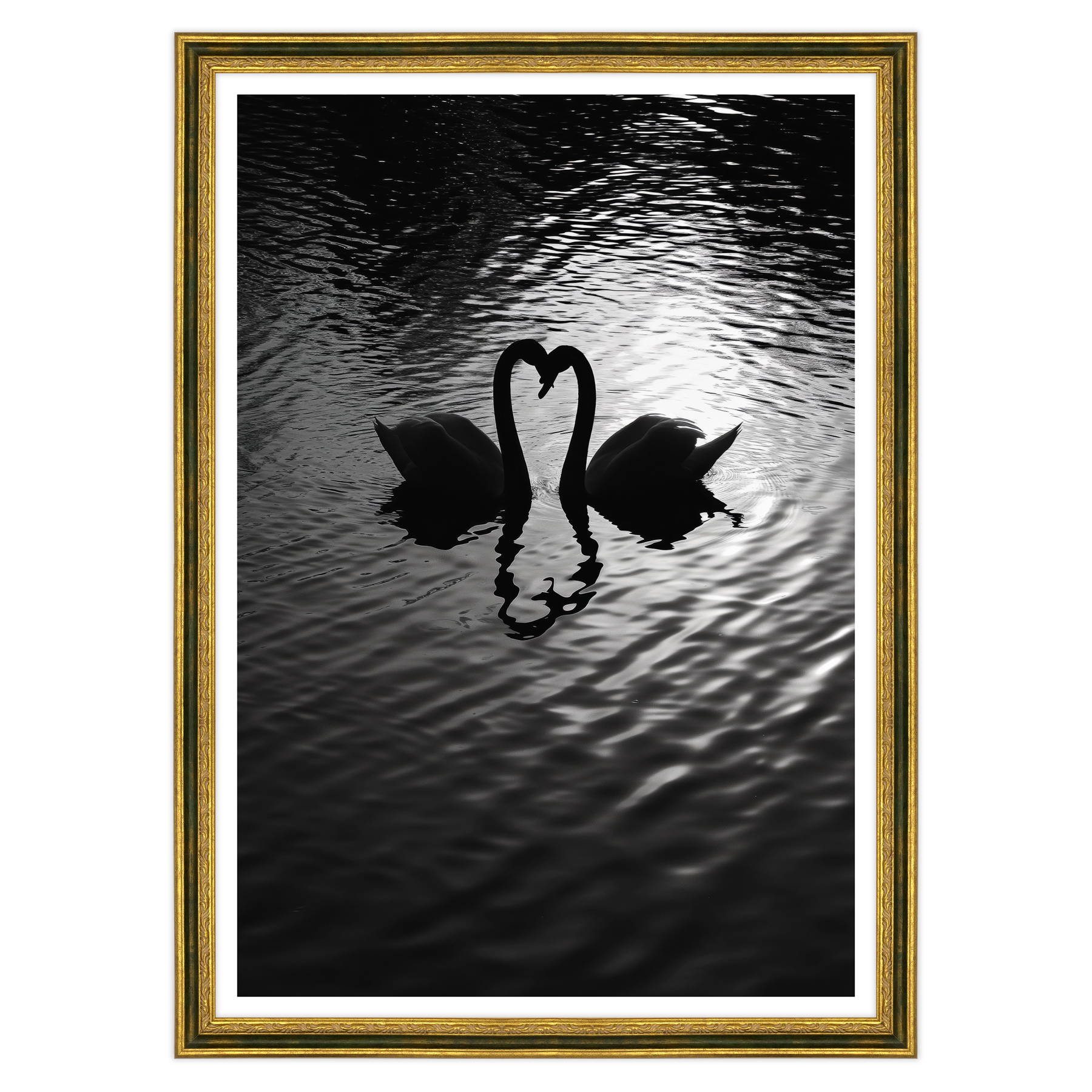 Amore Riflesso, Ballata dei Cigni
