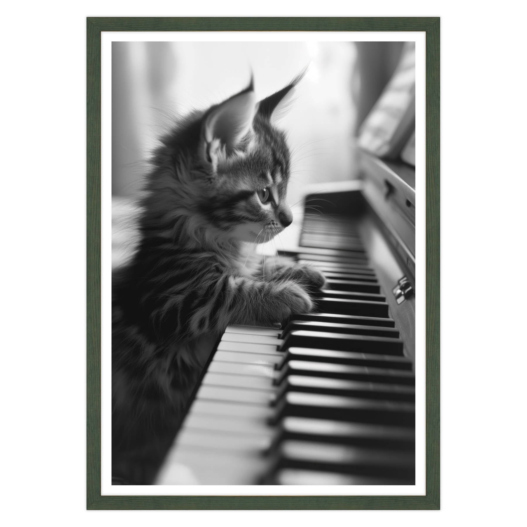 Eleganza Classica: Il Virtuoso Micio