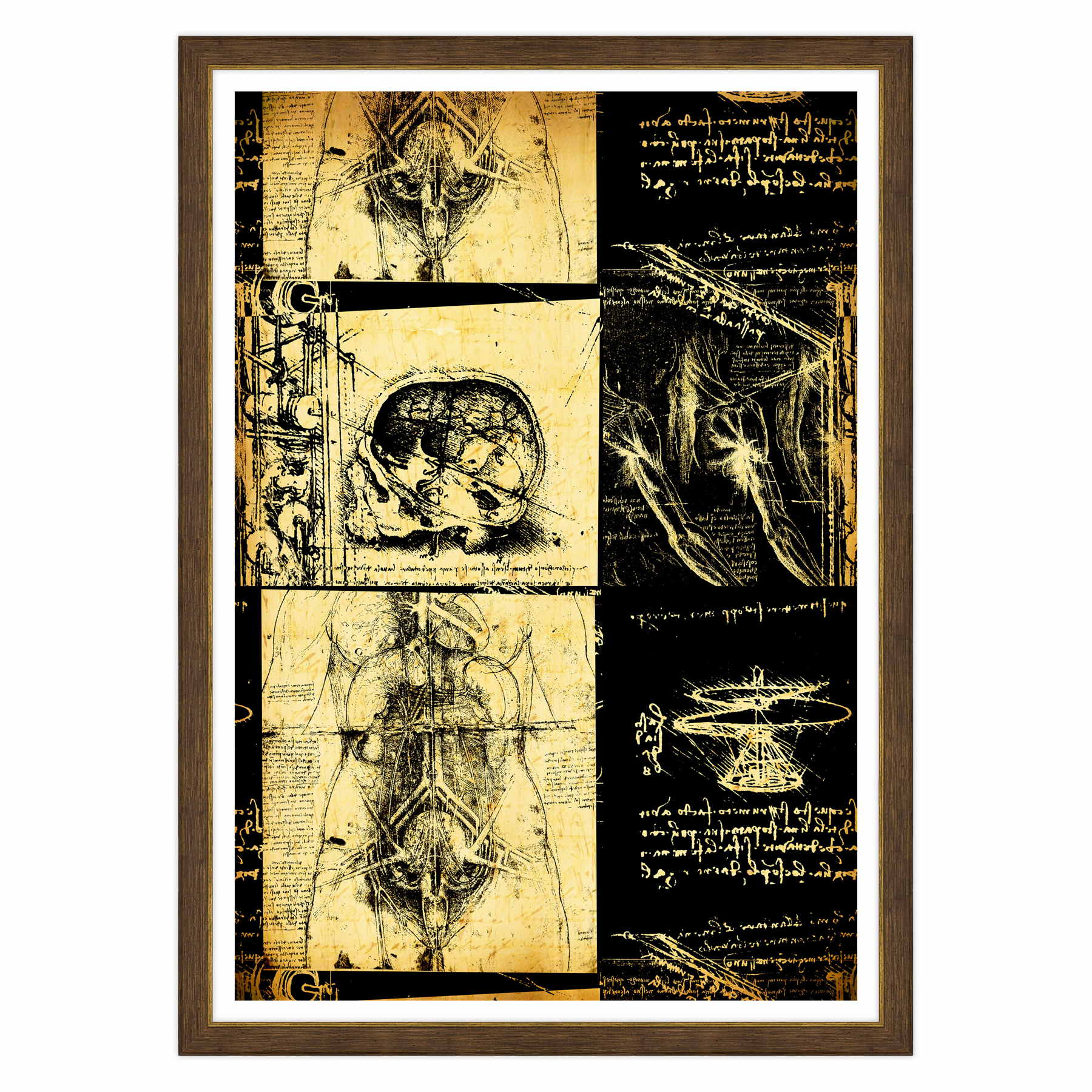 Leonardo Da Vinci - Studio di Anatomia - Medicina Chirurgia