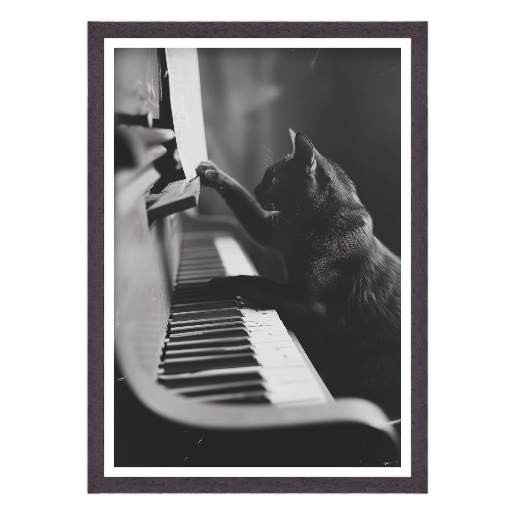 Il Musicista Quattrozampe