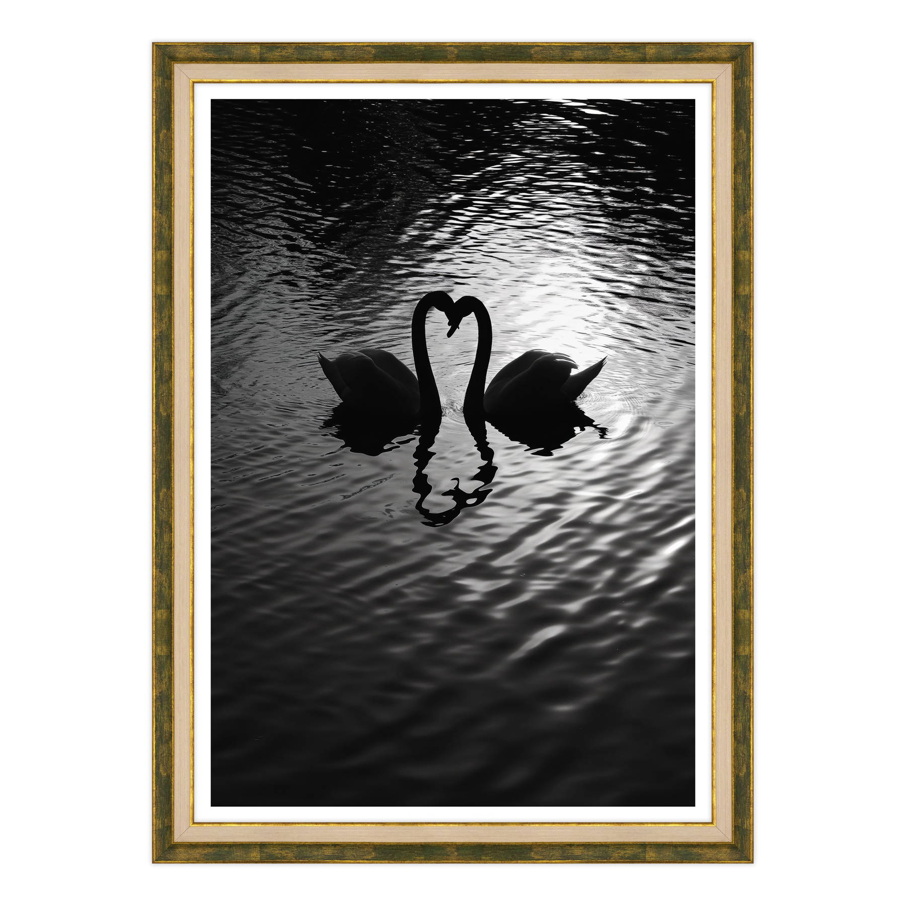 Amore Riflesso, Ballata dei Cigni