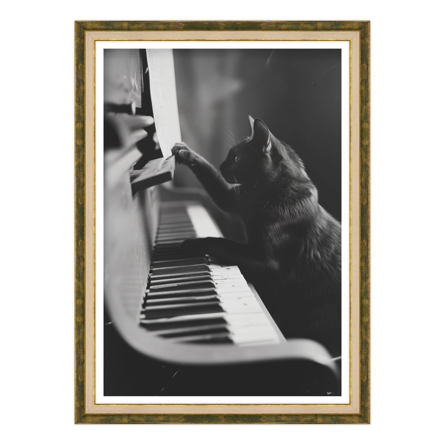 Il Musicista Quattrozampe