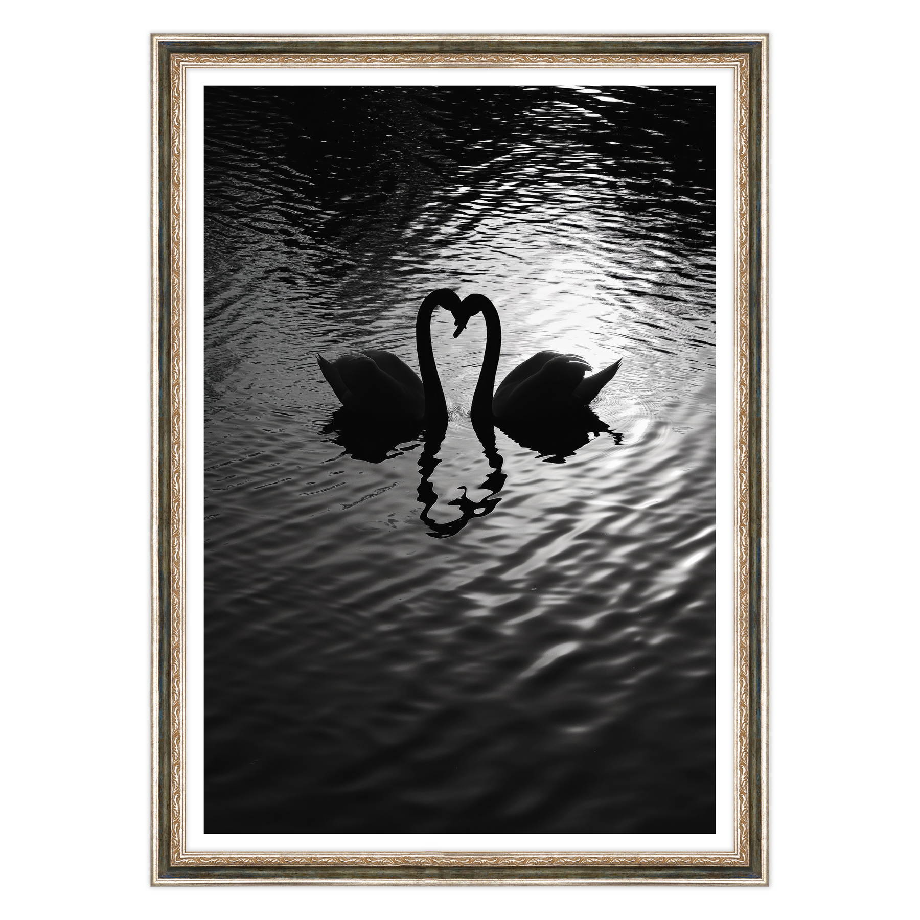 Amore Riflesso, Ballata dei Cigni