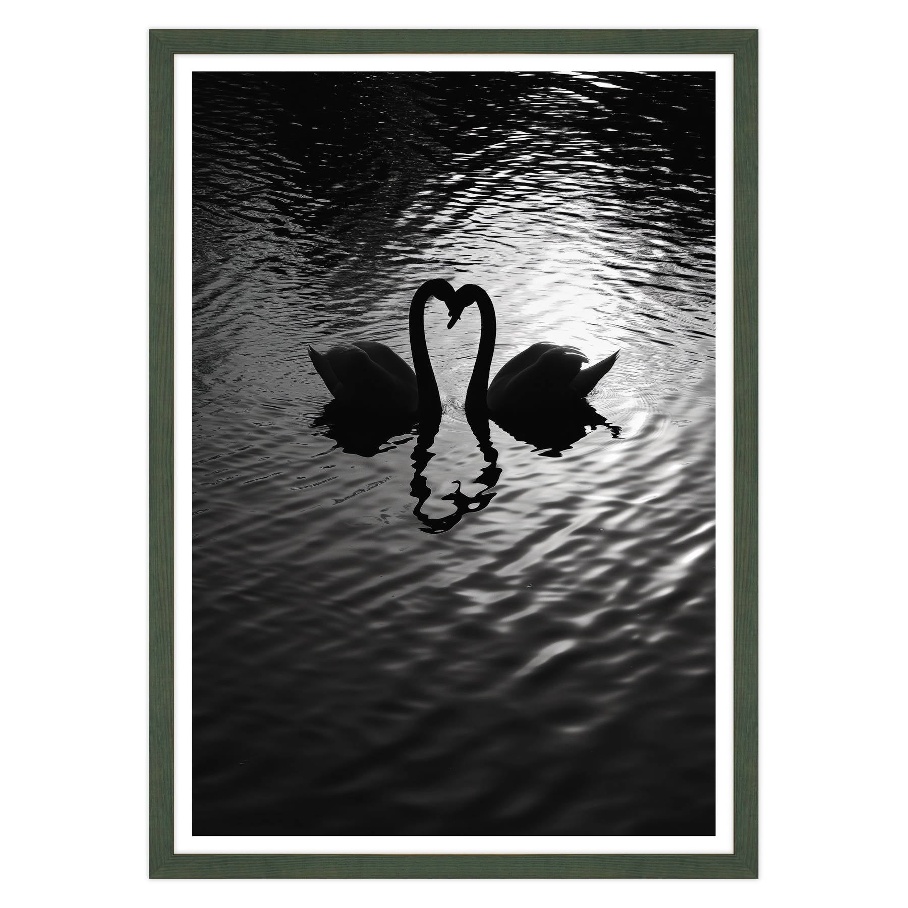 Amore Riflesso, Ballata dei Cigni