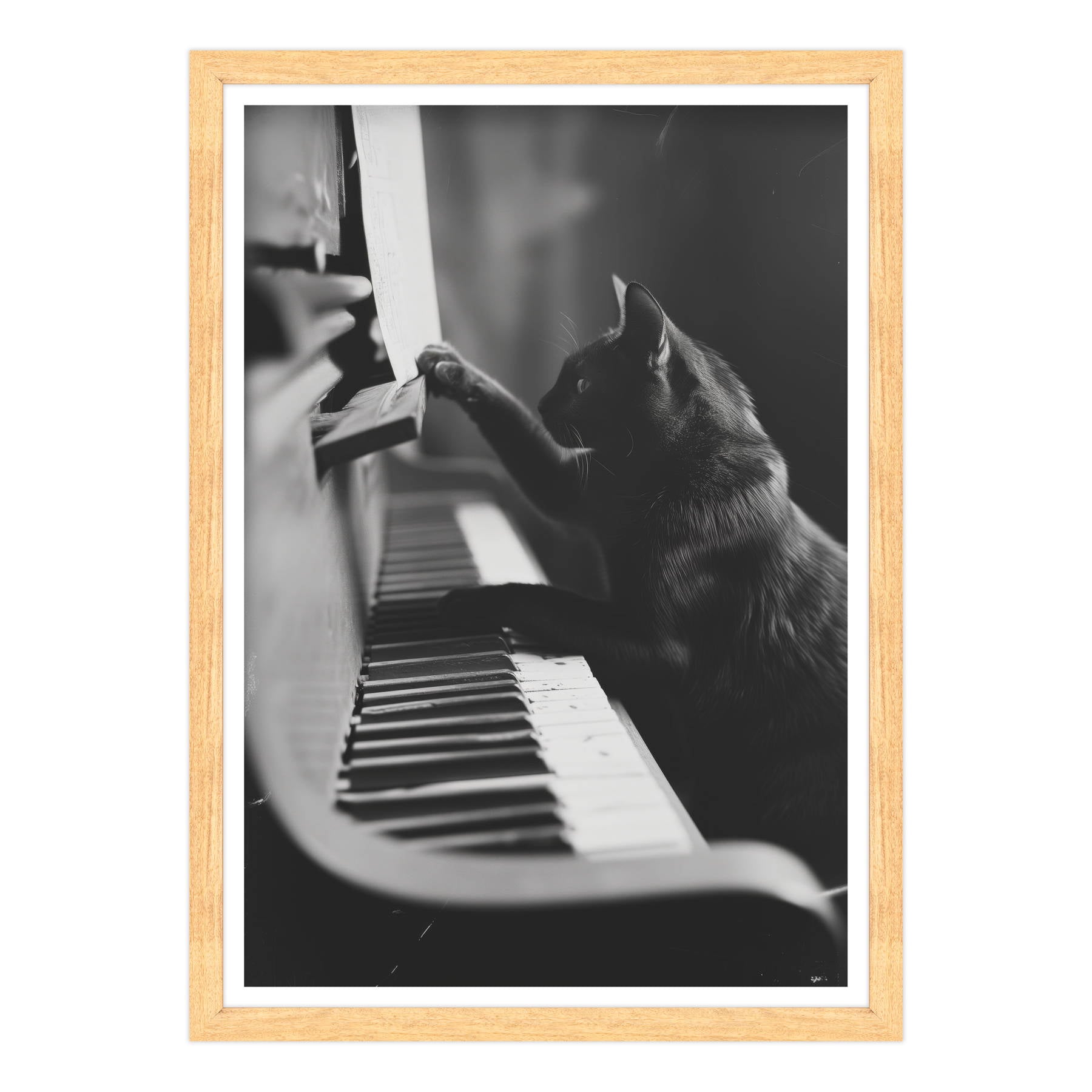 Il Musicista Quattrozampe