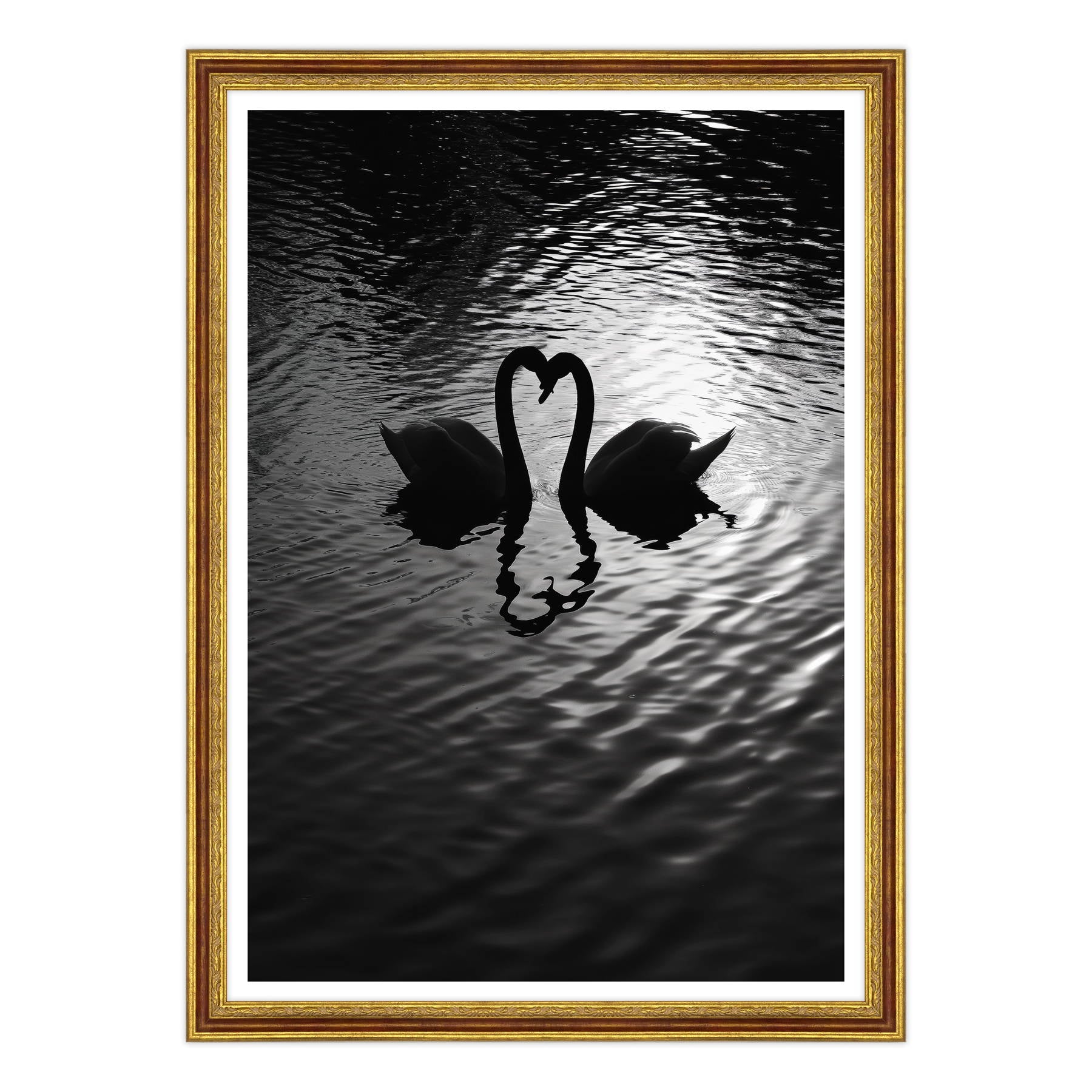 Amore Riflesso, Ballata dei Cigni