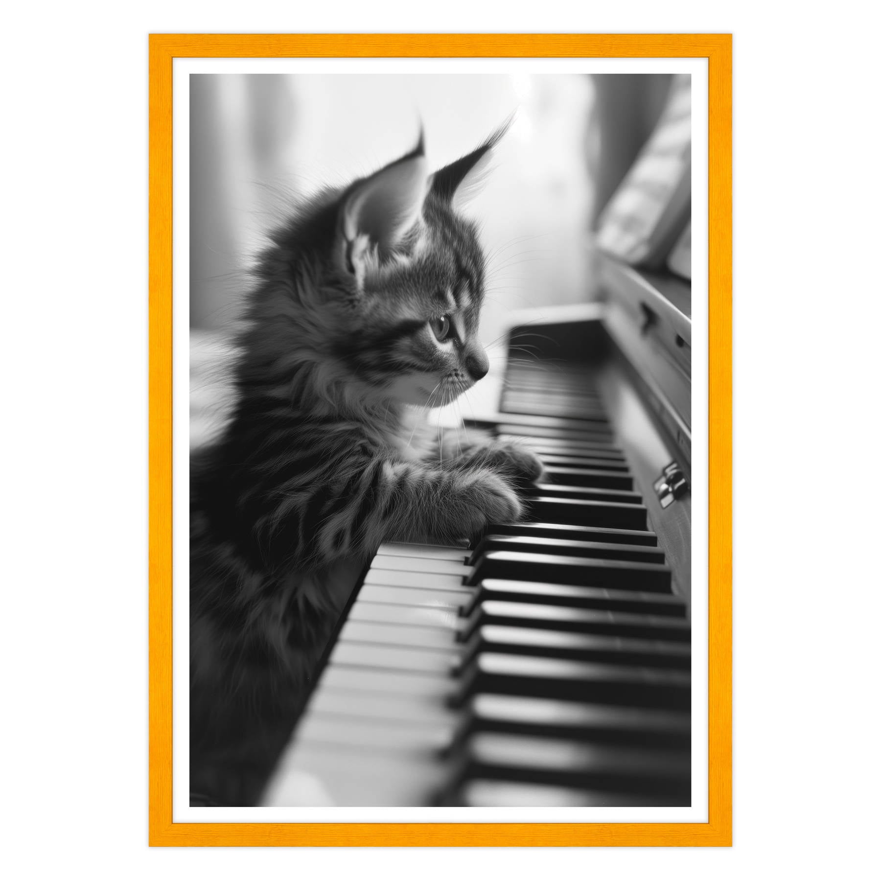 Eleganza Classica: Il Virtuoso Micio