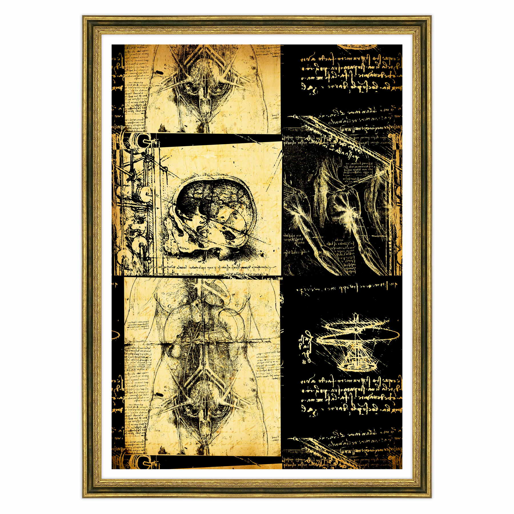 Leonardo Da Vinci - Studio di Anatomia - Medicina Chirurgia