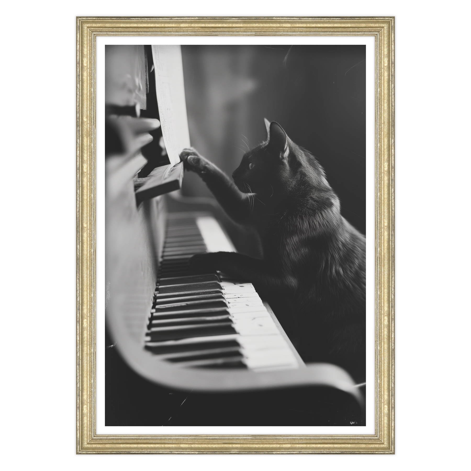 Il Musicista Quattrozampe