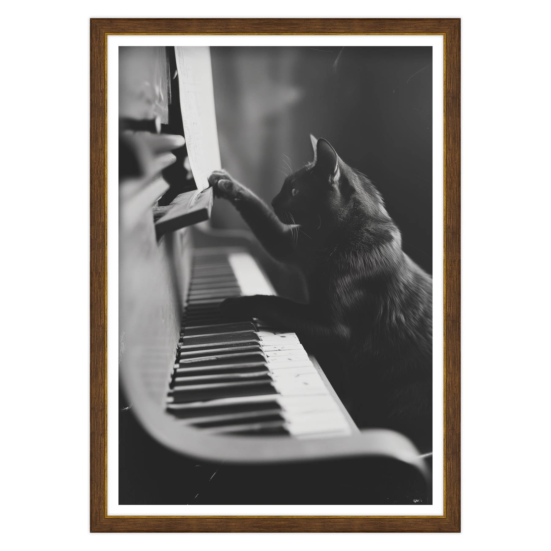 Il Musicista Quattrozampe