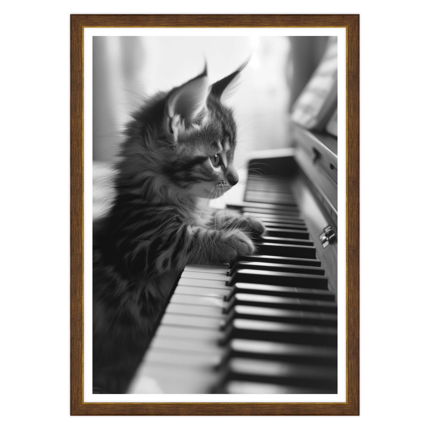 Eleganza Classica: Il Virtuoso Micio