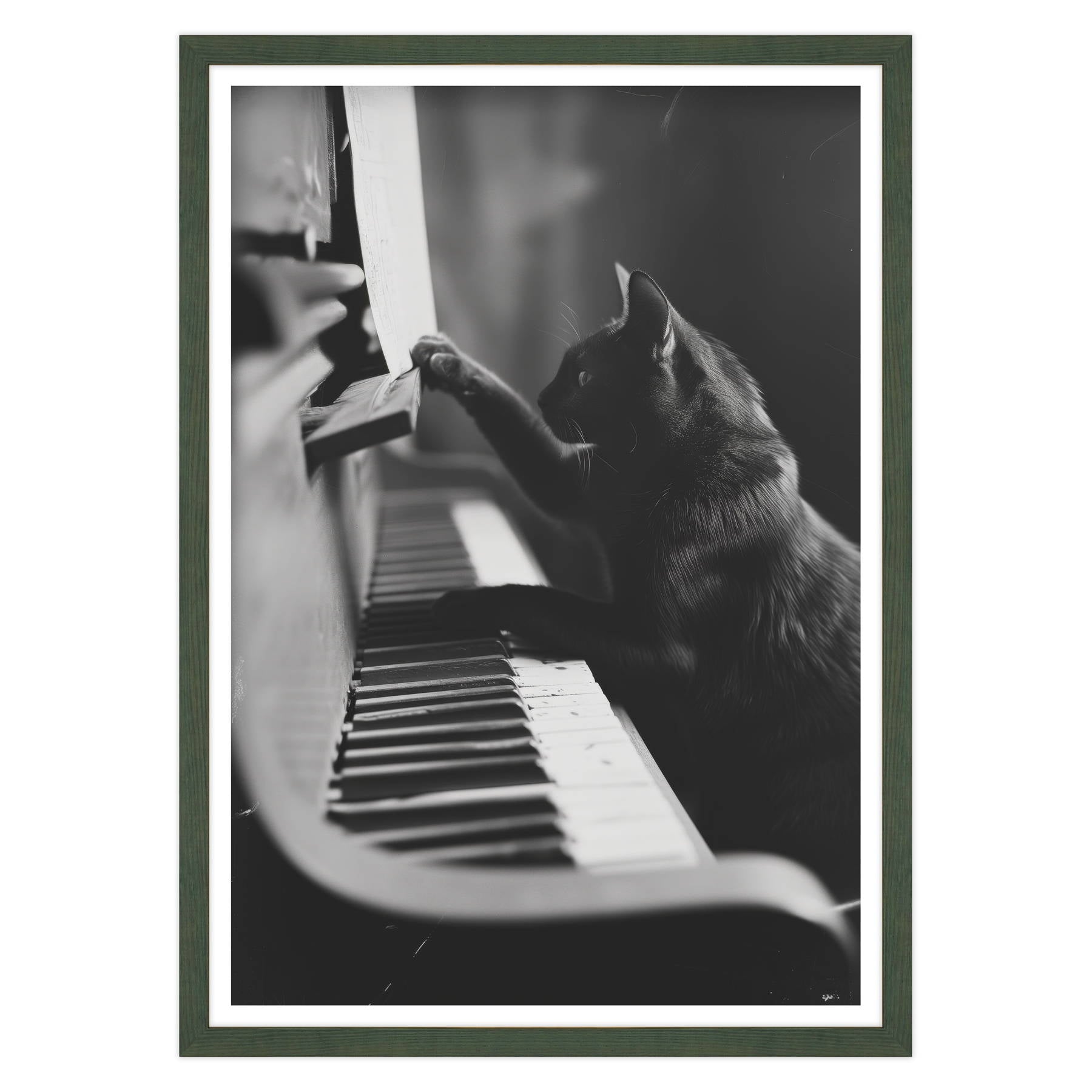 Il Musicista Quattrozampe