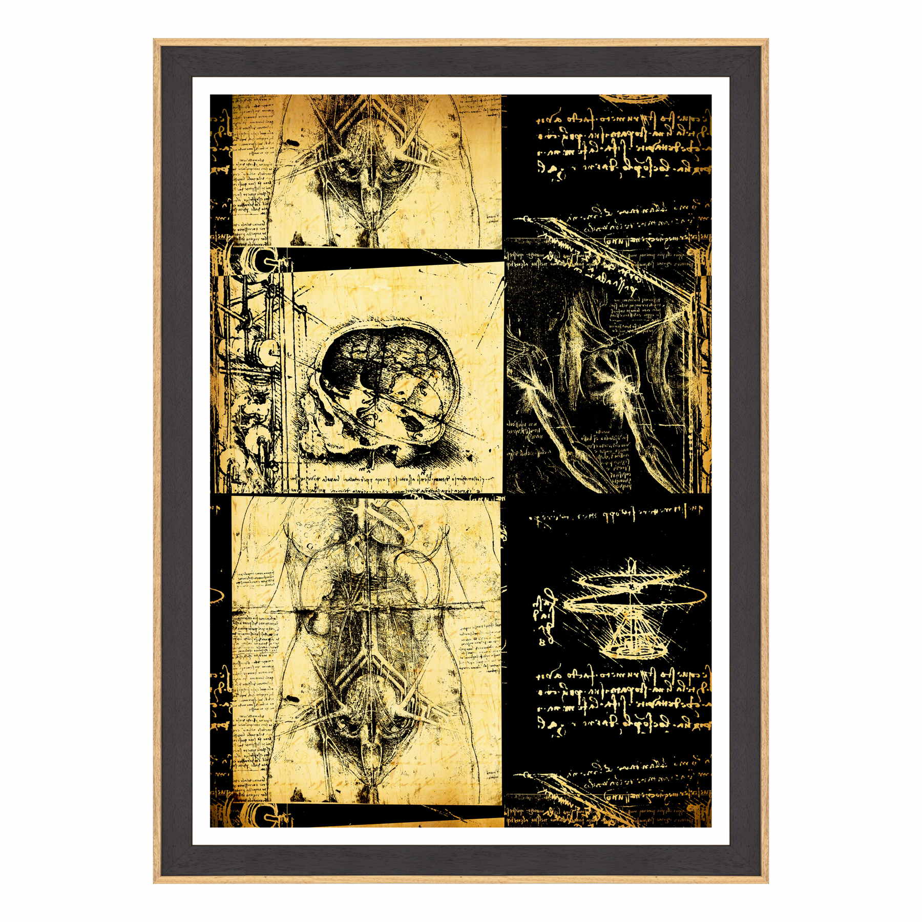 Leonardo Da Vinci - Studio di Anatomia - Medicina Chirurgia