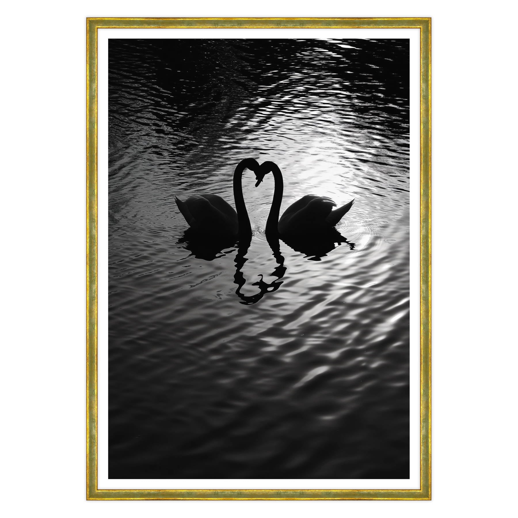 Amore Riflesso, Ballata dei Cigni